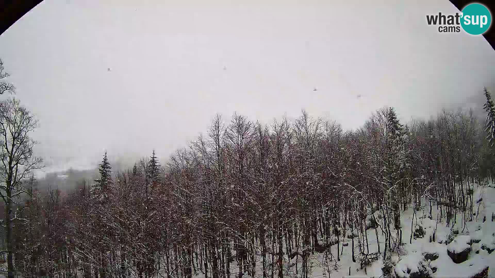 PLANINA RAZOR kamera (1315) | pogled na Vogel in Globoko