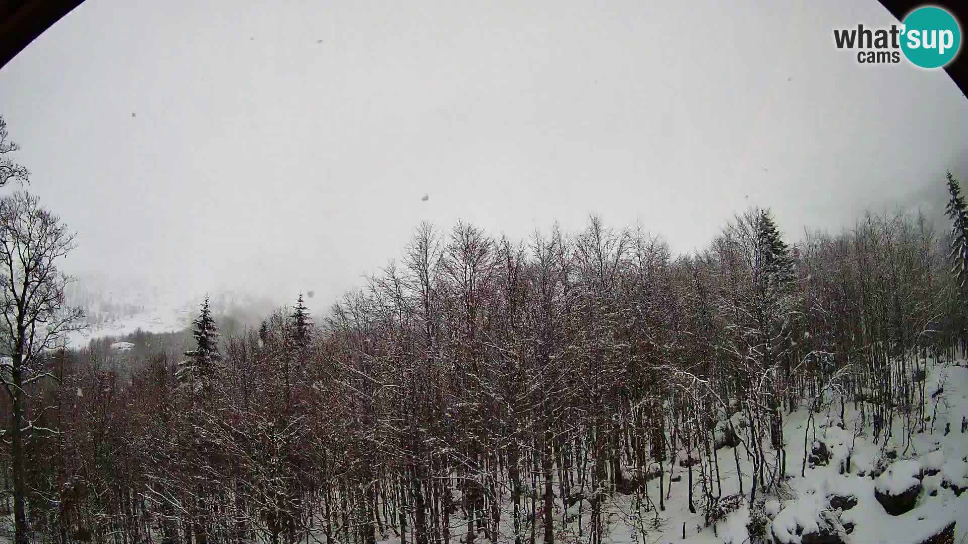 PLANINA RAZOR webcam (1315) | view to Vogel and Globoko