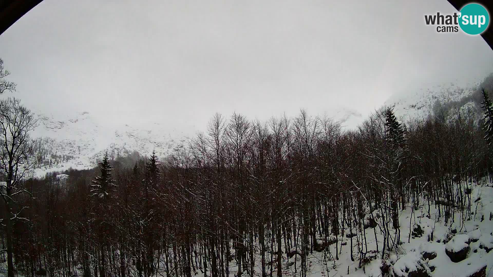 PLANINA RAZOR webcam (1315) | view to Vogel and Globoko