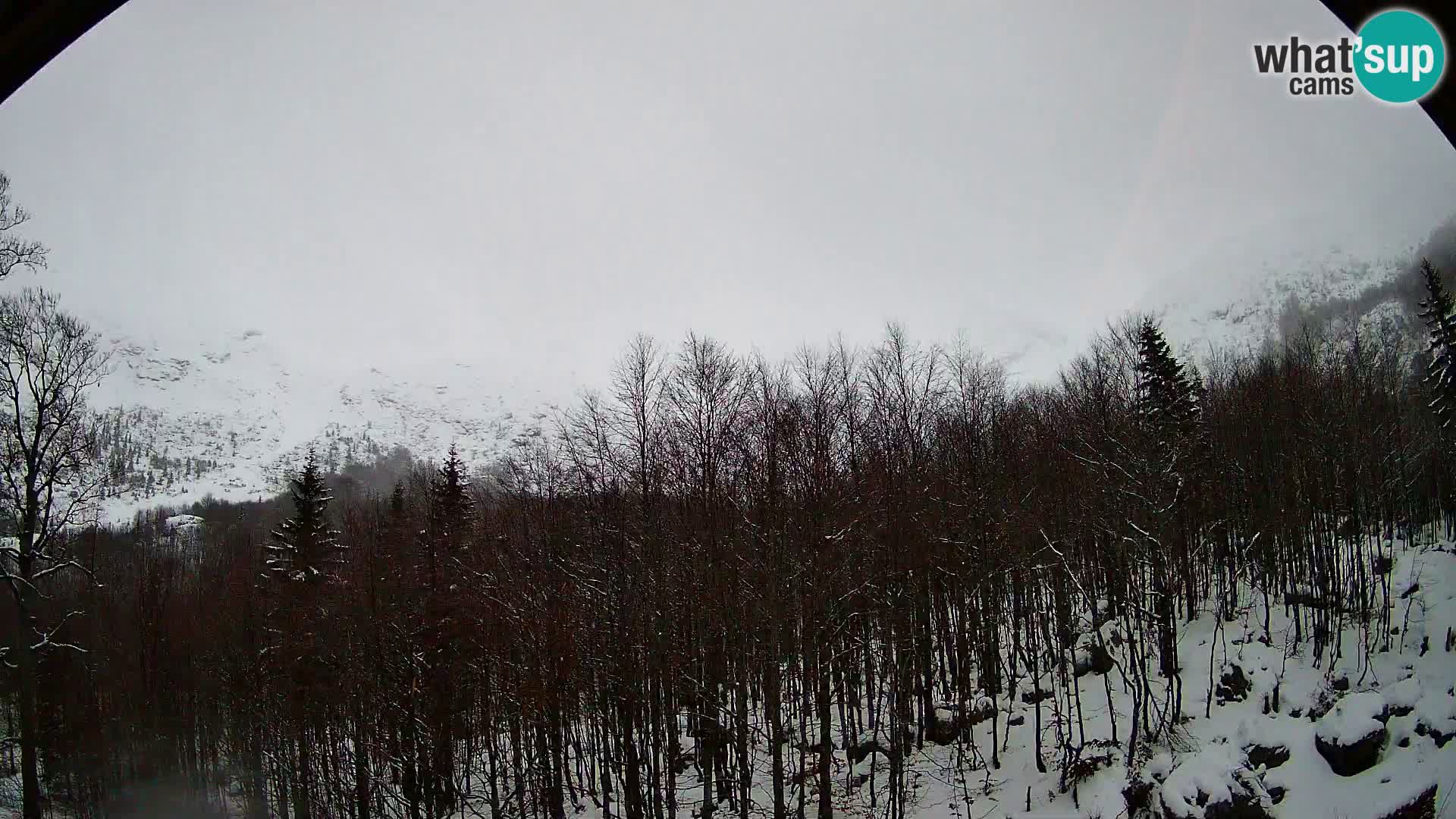 PLANINA RAZOR webcam (1315) | view to Vogel and Globoko