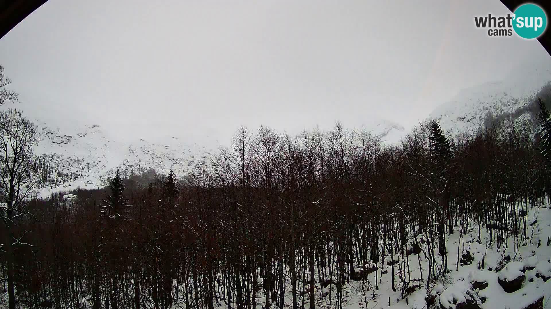 PLANINA RAZOR webcam (1315) | view to Vogel and Globoko