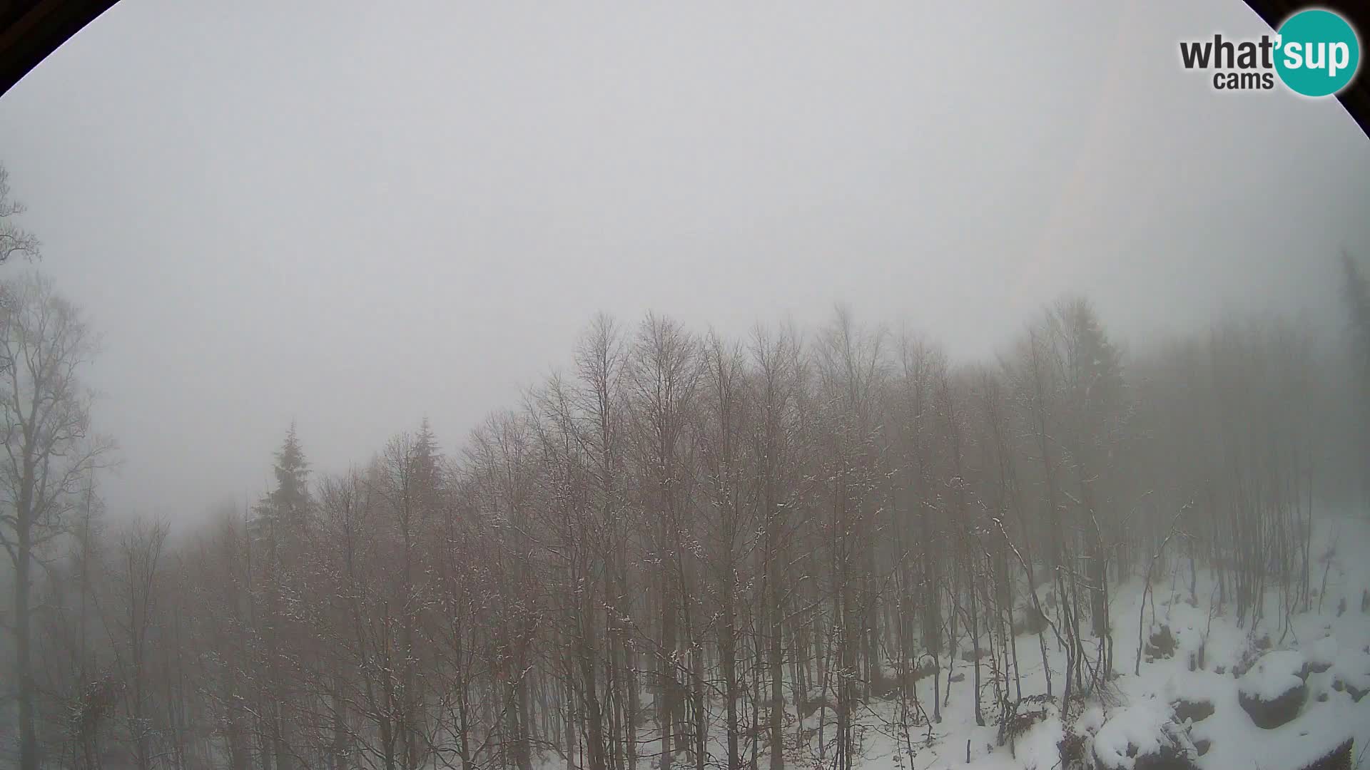 Cámara web PLANINA RAZOR (1315) | vista a Vogel y Globoko