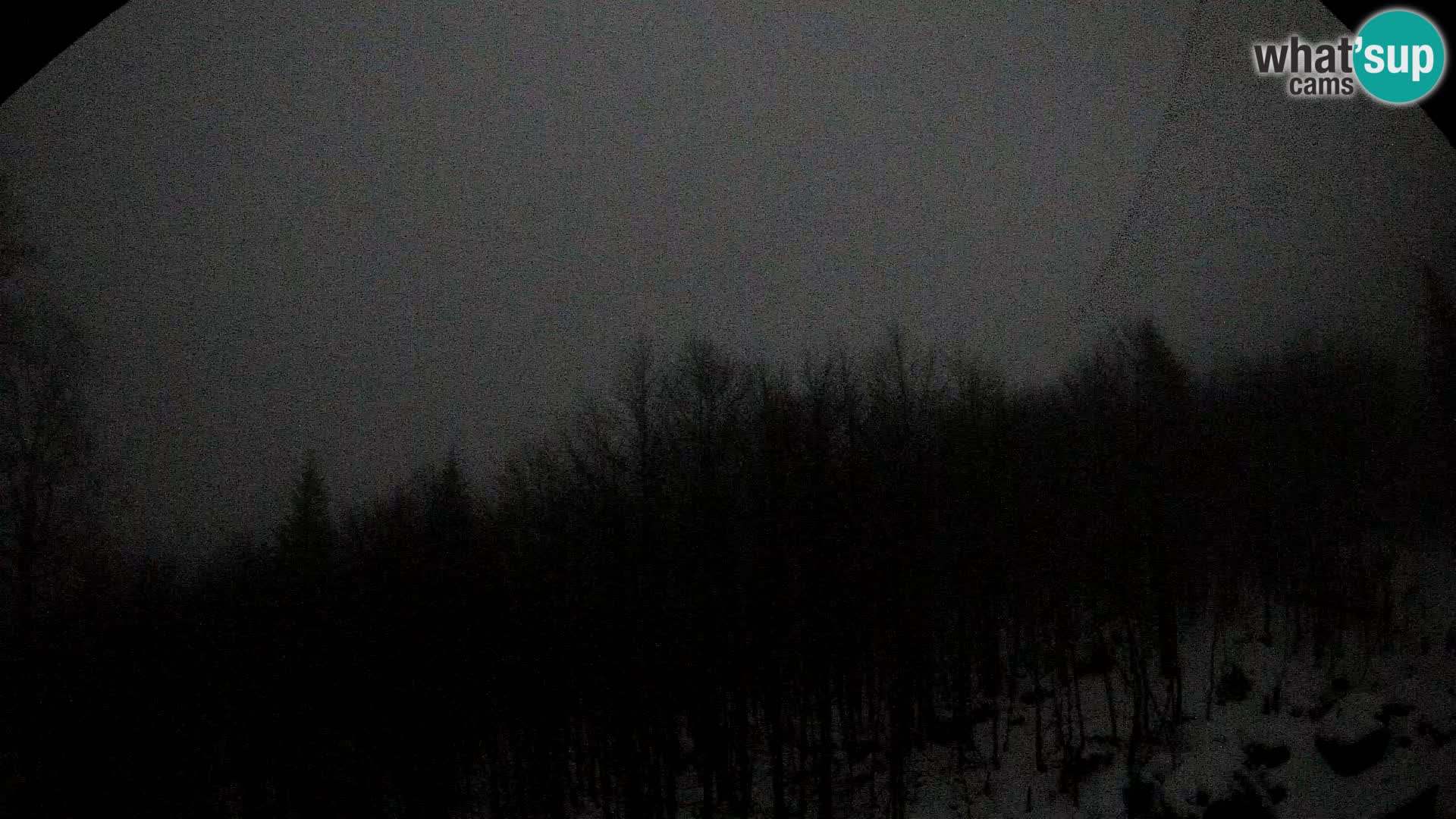 Webcam PLANINA RAZOR (1315) | Blick auf Vogel und Globoko