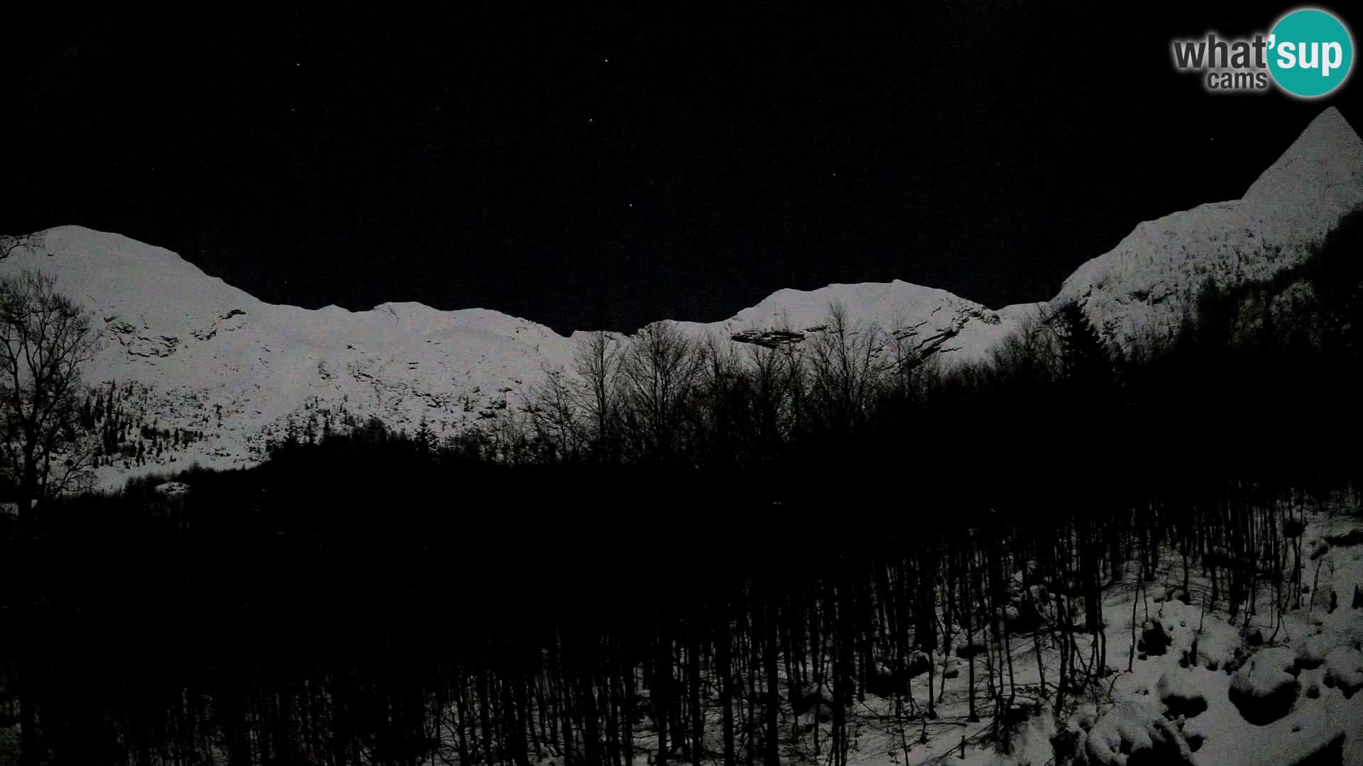 Webcam PLANINA RAZOR (1315) | Blick auf Vogel und Globoko