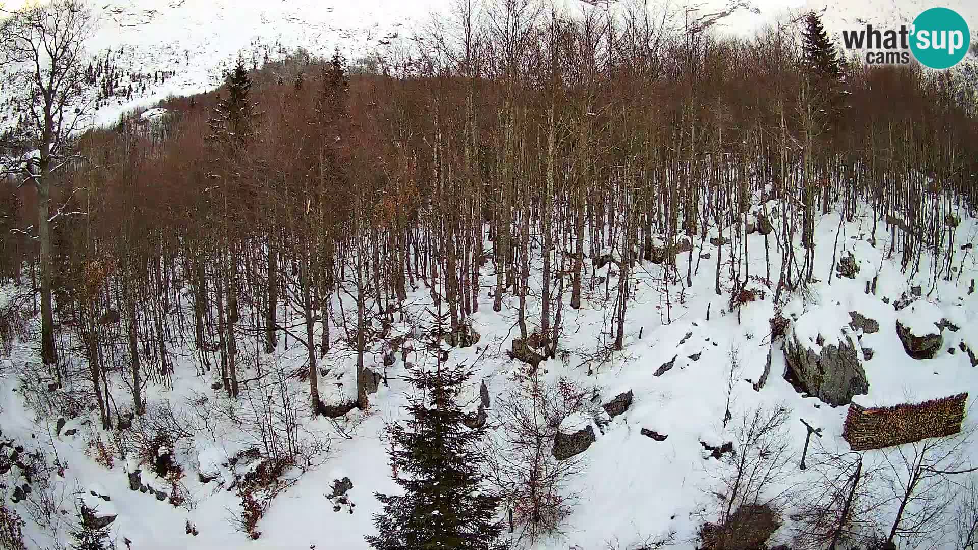 PLANINA RAZOR webcam (1315) | view to Vogel and Globoko