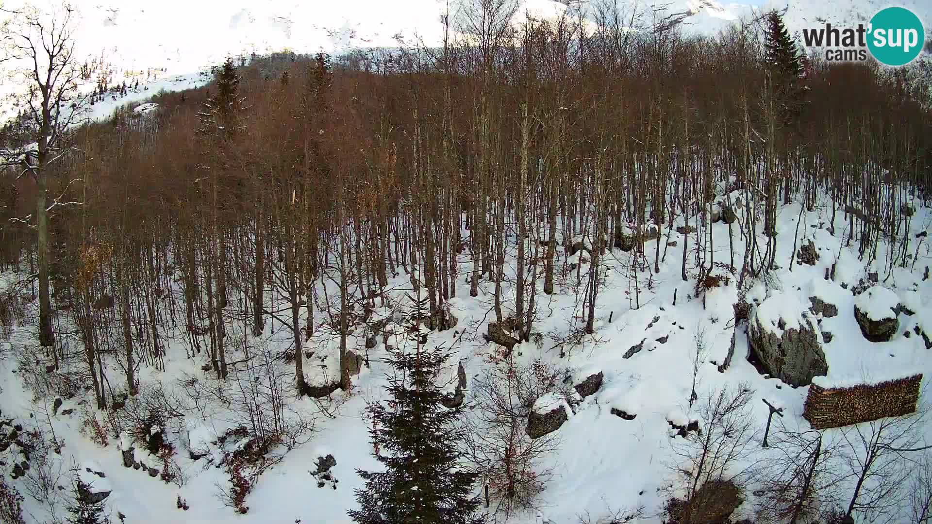 PLANINA RAZOR kamera (1315) | pogled na Vogel in Globoko