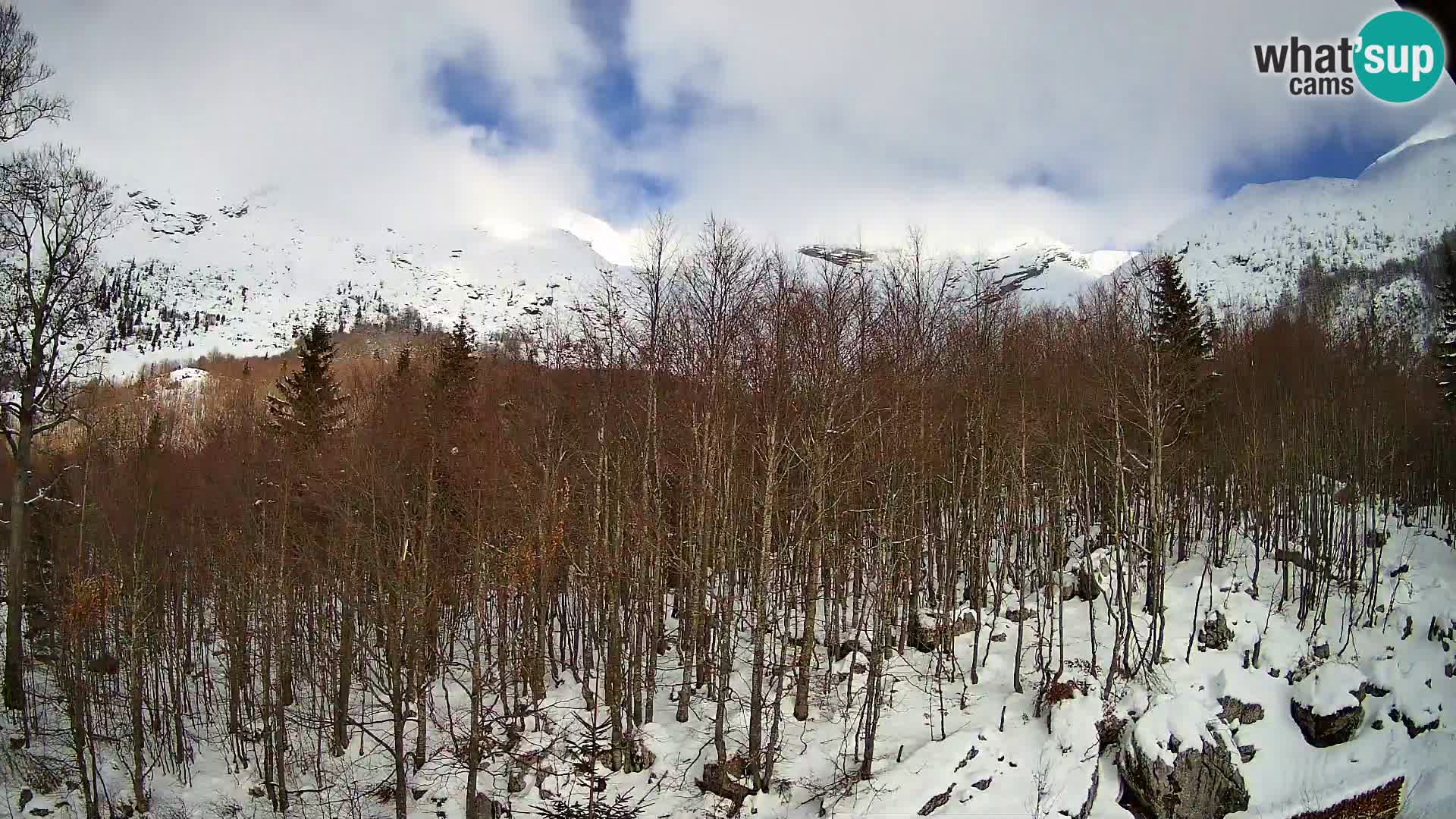 Livecam PLANINA RAZOR (1315) | vue sur Vogel et Globoko