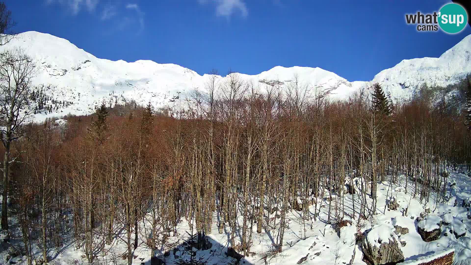 PLANINA RAZOR webcam (1315) | view to Vogel and Globoko