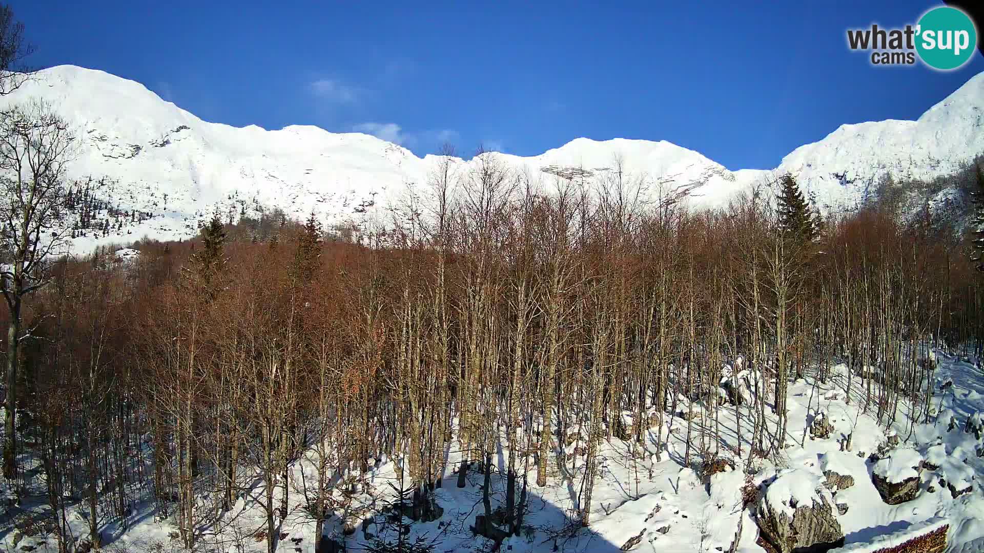 Livecam PLANINA RAZOR (1315) | vue sur Vogel et Globoko