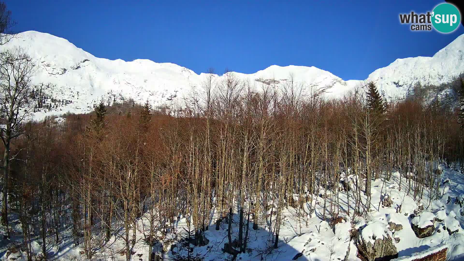 PLANINA RAZOR web kamera (1315) | pogled na Vogel i Globoko