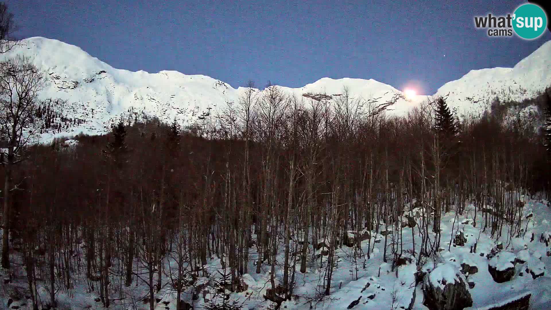 PLANINA RAZOR Live Cam (1315) | vista su Vogel e Globoko