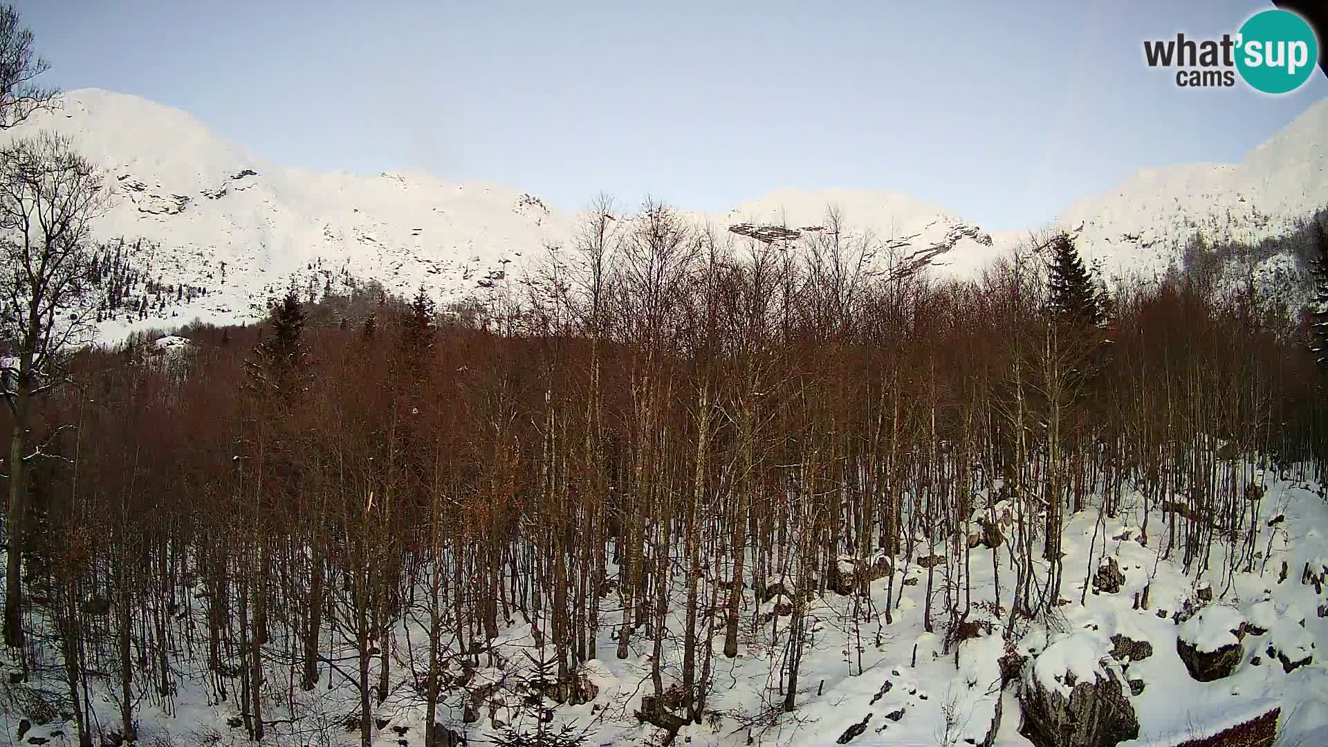 PLANINA RAZOR web kamera (1315) | pogled na Vogel i Globoko