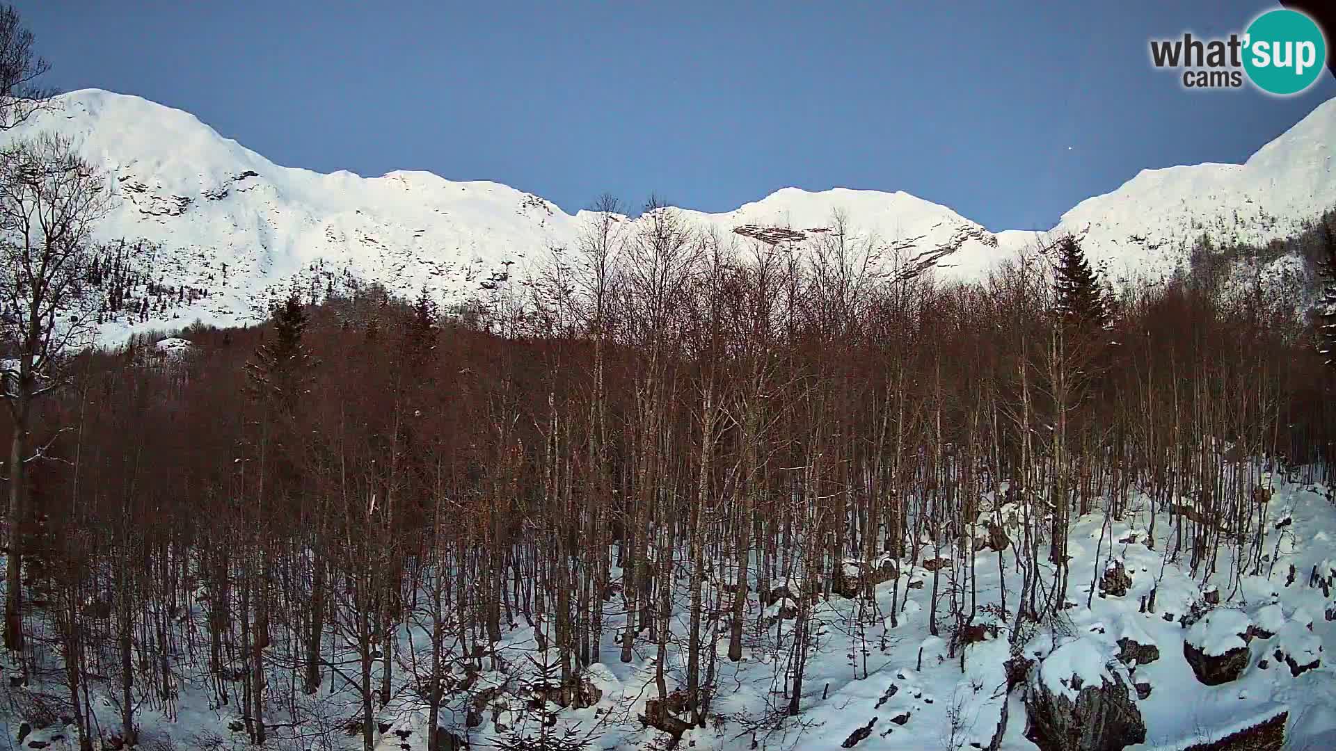 Livecam PLANINA RAZOR (1315) | vue sur Vogel et Globoko