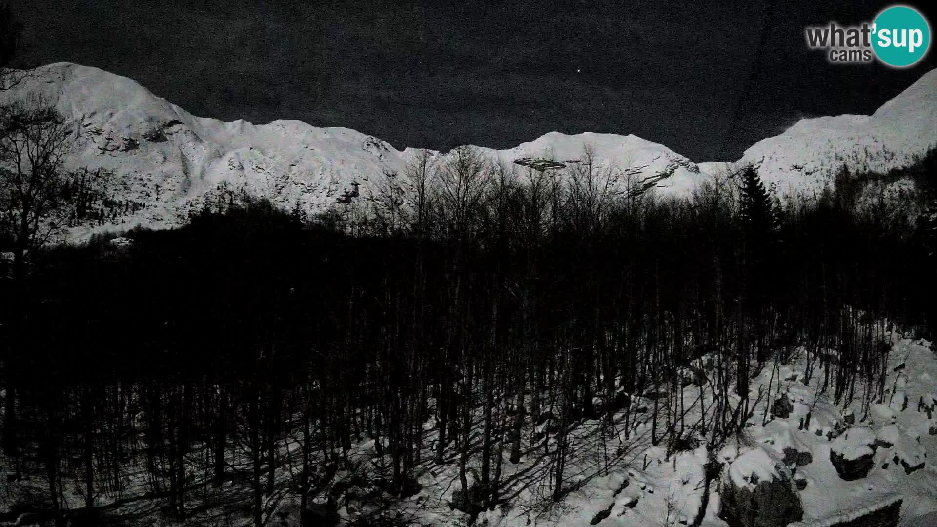 Cámara web PLANINA RAZOR (1315) | vista a Vogel y Globoko