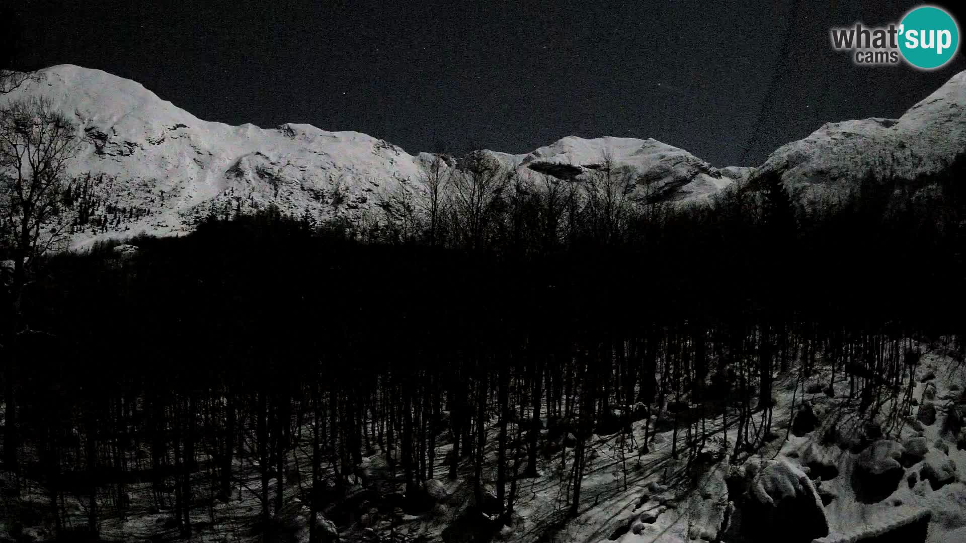 PLANINA RAZOR Live Cam (1315) | vista su Vogel e Globoko