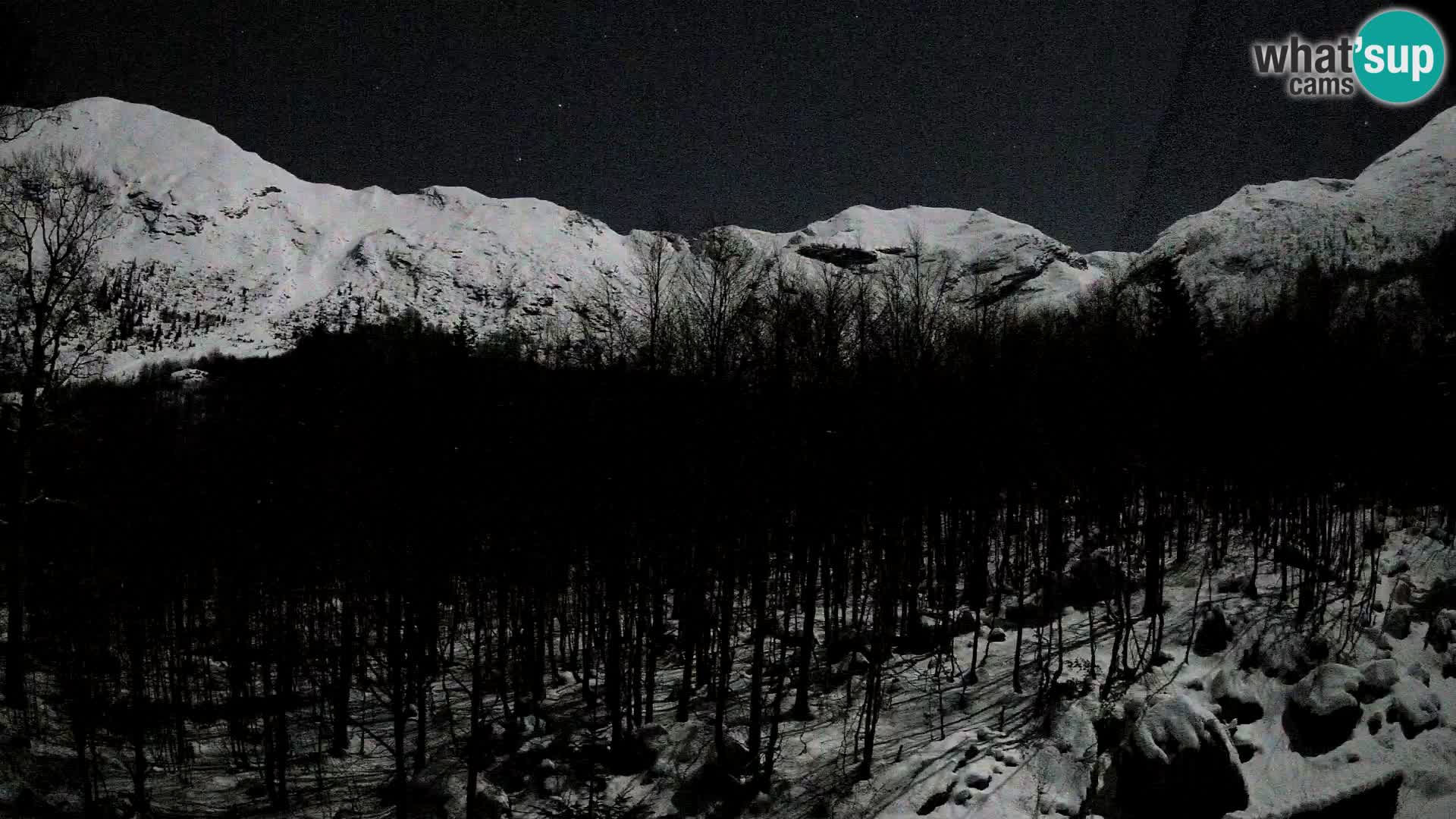 PLANINA RAZOR kamera (1315) | pogled na Vogel in Globoko