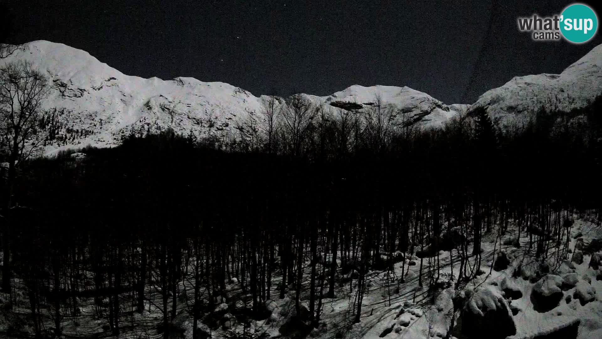 PLANINA RAZOR kamera (1315) | pogled na Vogel in Globoko