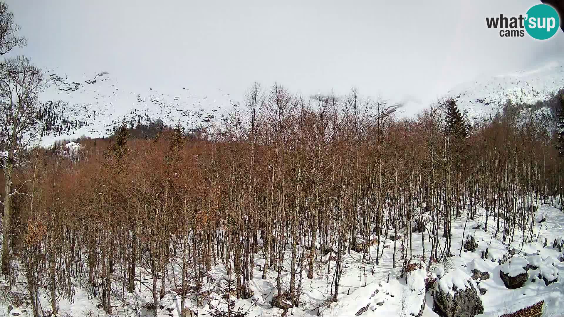 PLANINA RAZOR kamera (1315) | pogled na Vogel in Globoko