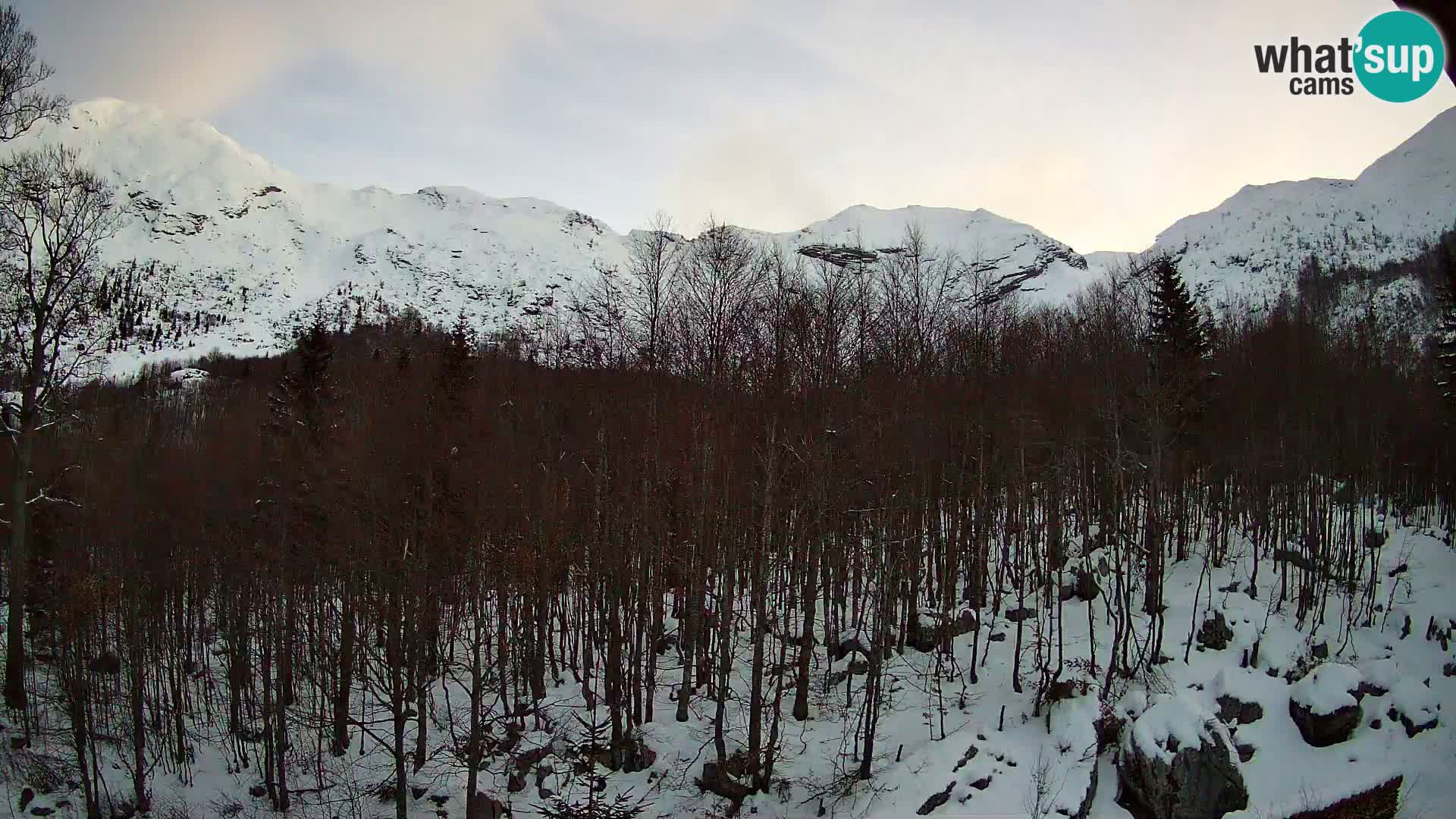 PLANINA RAZOR Live Cam (1315) | vista su Vogel e Globoko