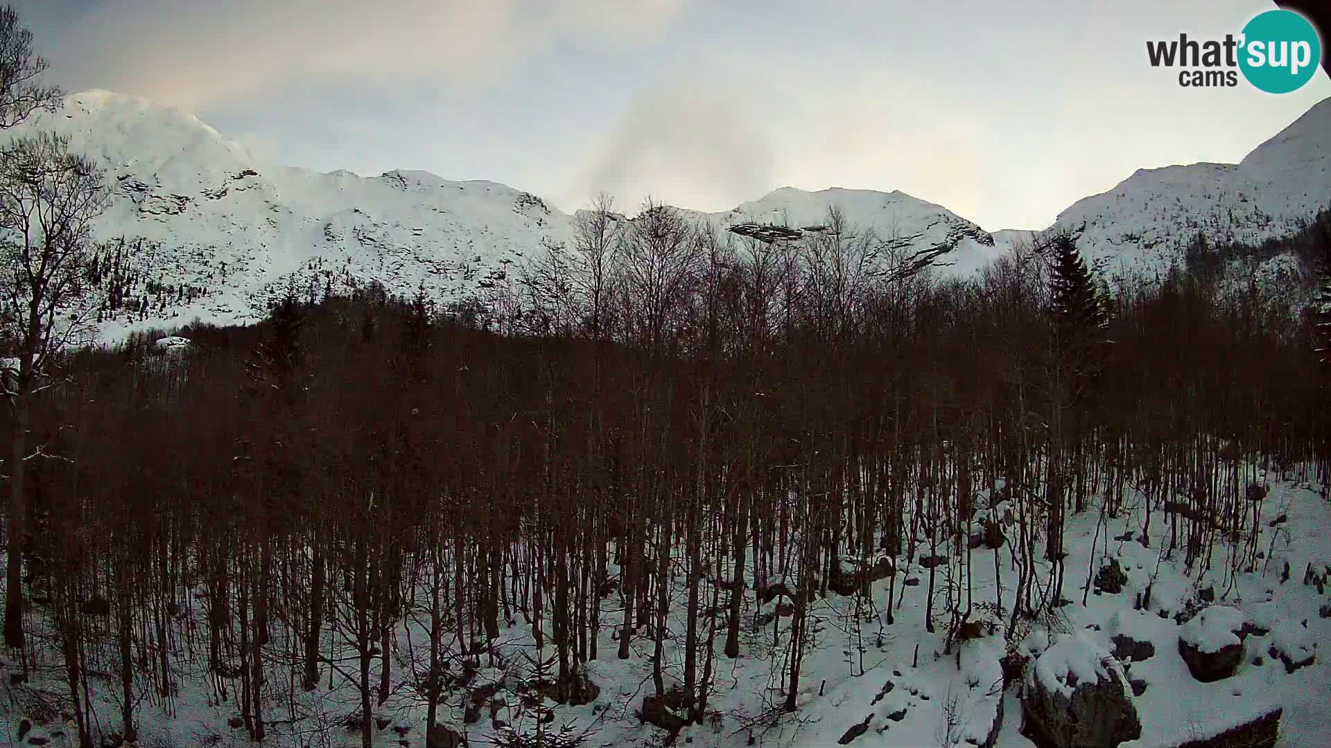 PLANINA RAZOR Live Cam (1315) | vista su Vogel e Globoko