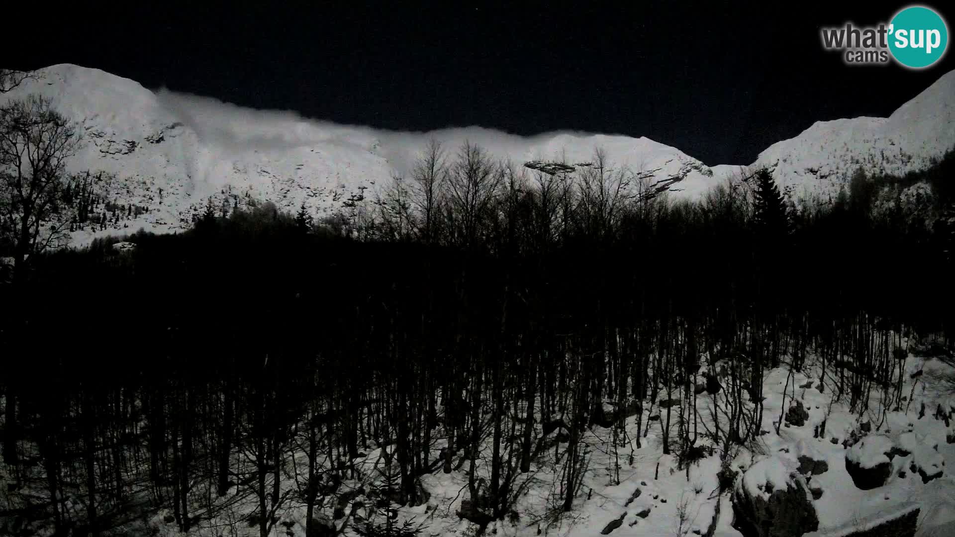 PLANINA RAZOR web kamera (1315) | pogled na Vogel i Globoko