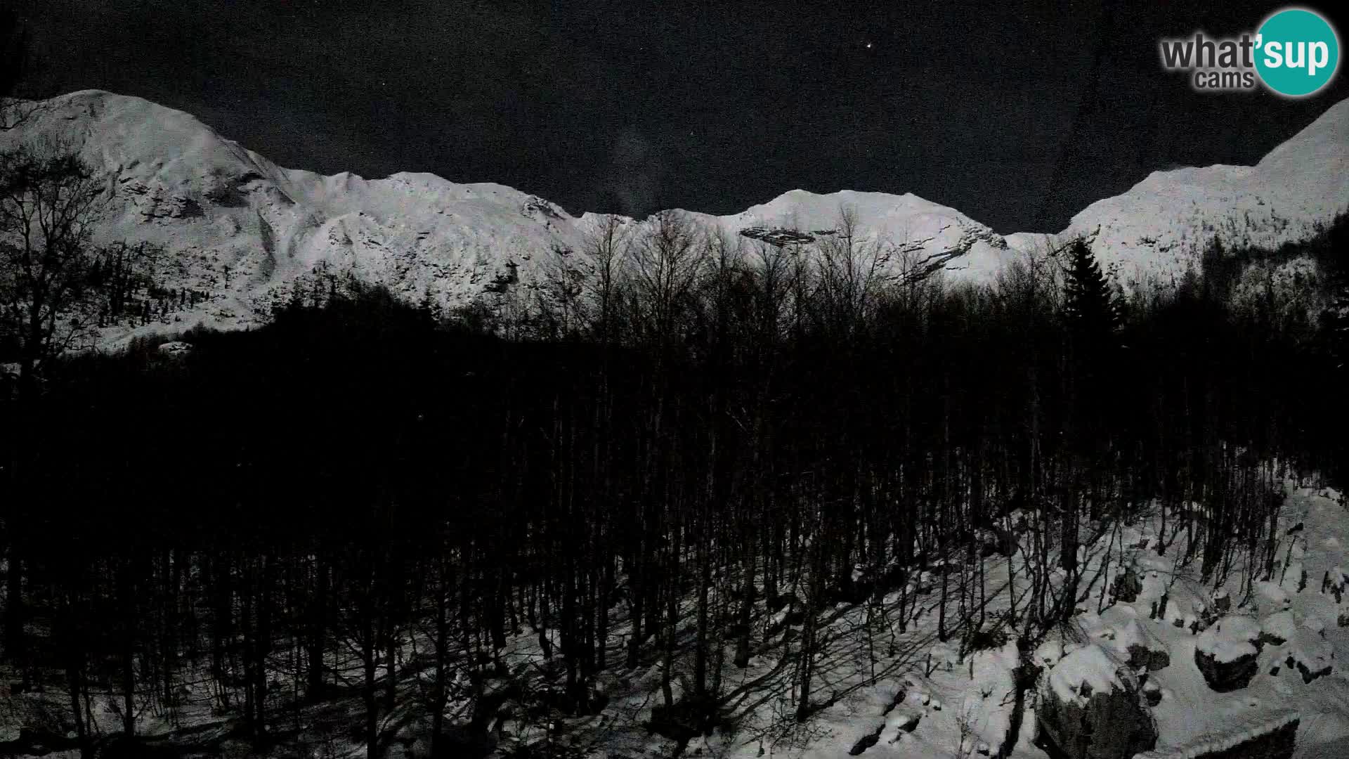 Webcam PLANINA RAZOR (1315) | Blick auf Vogel und Globoko