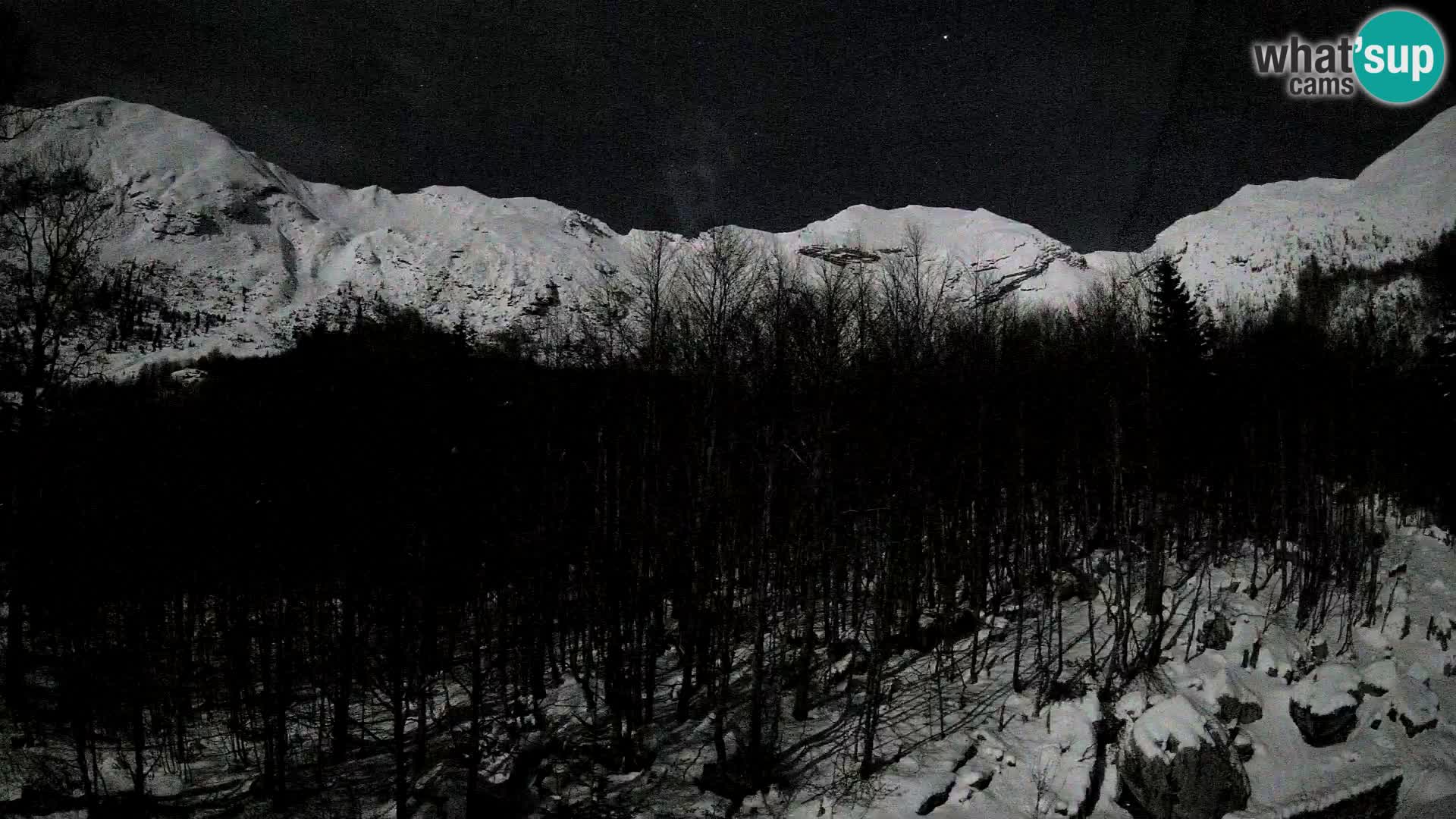 PLANINA RAZOR kamera (1315) | pogled na Vogel in Globoko