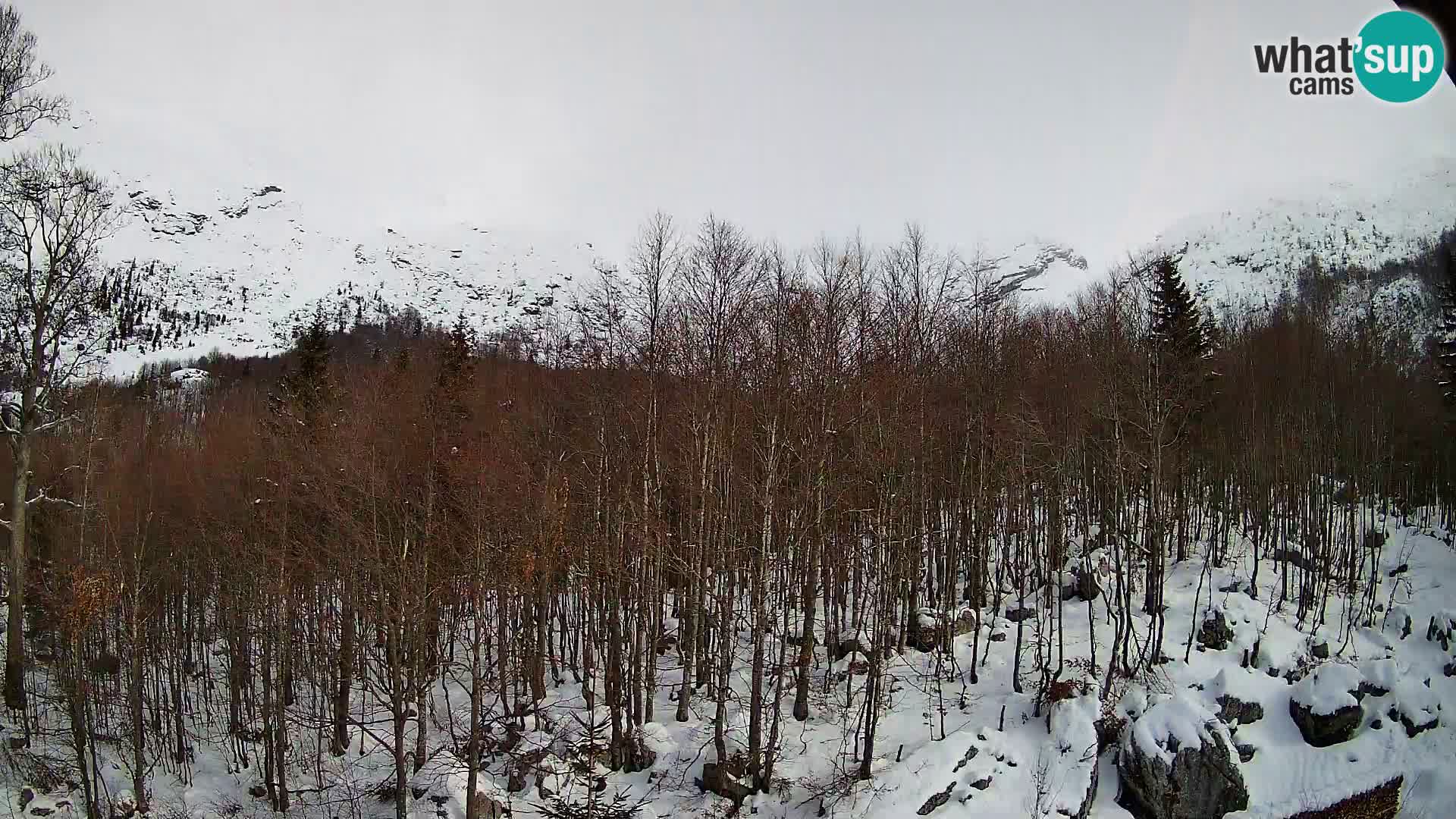 PLANINA RAZOR webcam (1315) | view to Vogel and Globoko