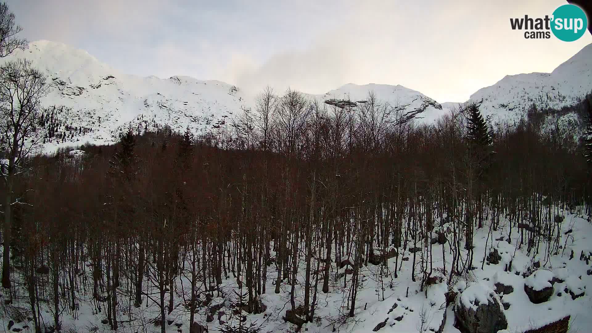 PLANINA RAZOR Live Cam (1315) | vista su Vogel e Globoko