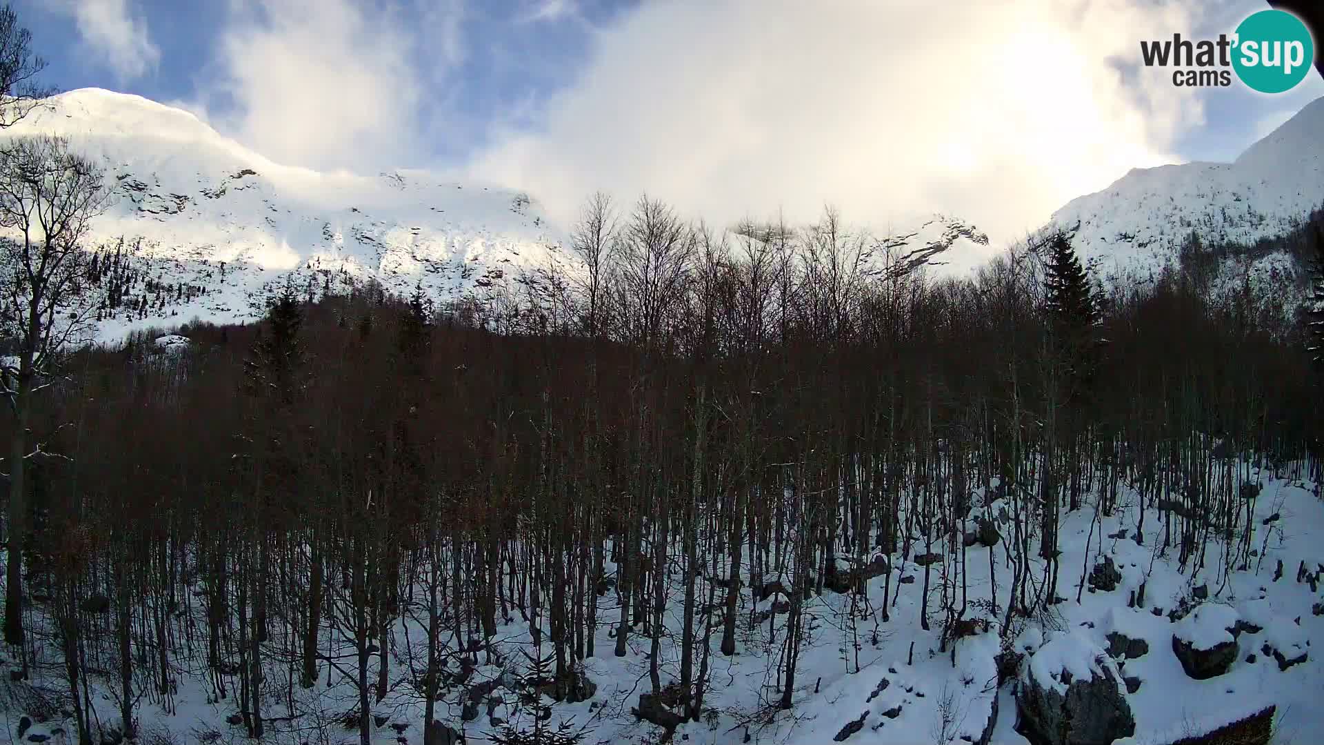 PLANINA RAZOR kamera (1315) | pogled na Vogel in Globoko