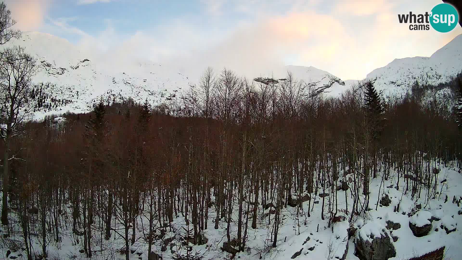 Webcam PLANINA RAZOR (1315) | Blick auf Vogel und Globoko