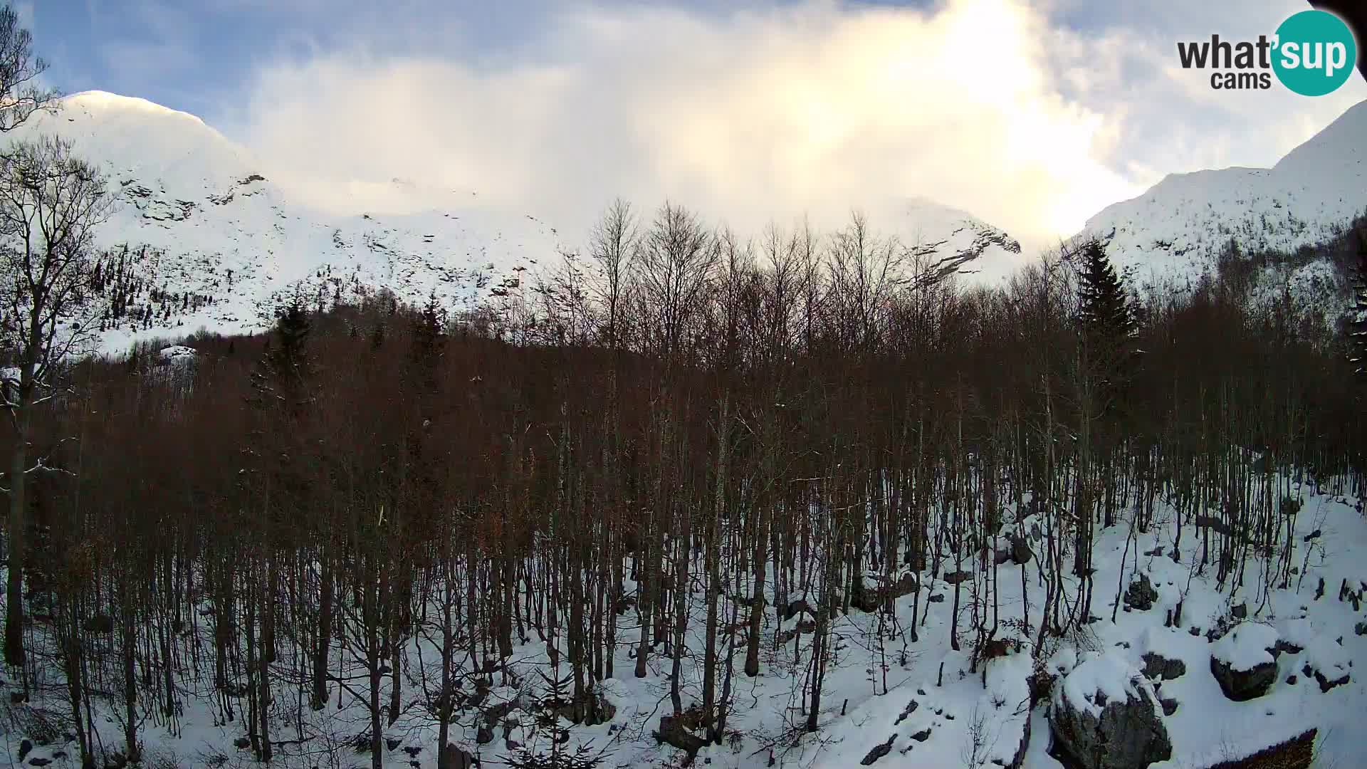 PLANINA RAZOR kamera (1315) | pogled na Vogel in Globoko