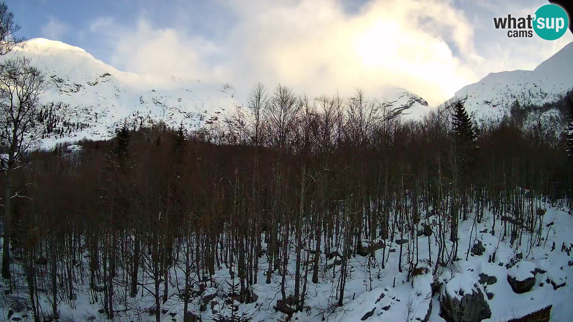 Webcam PLANINA RAZOR (1315) | Blick auf Vogel und Globoko