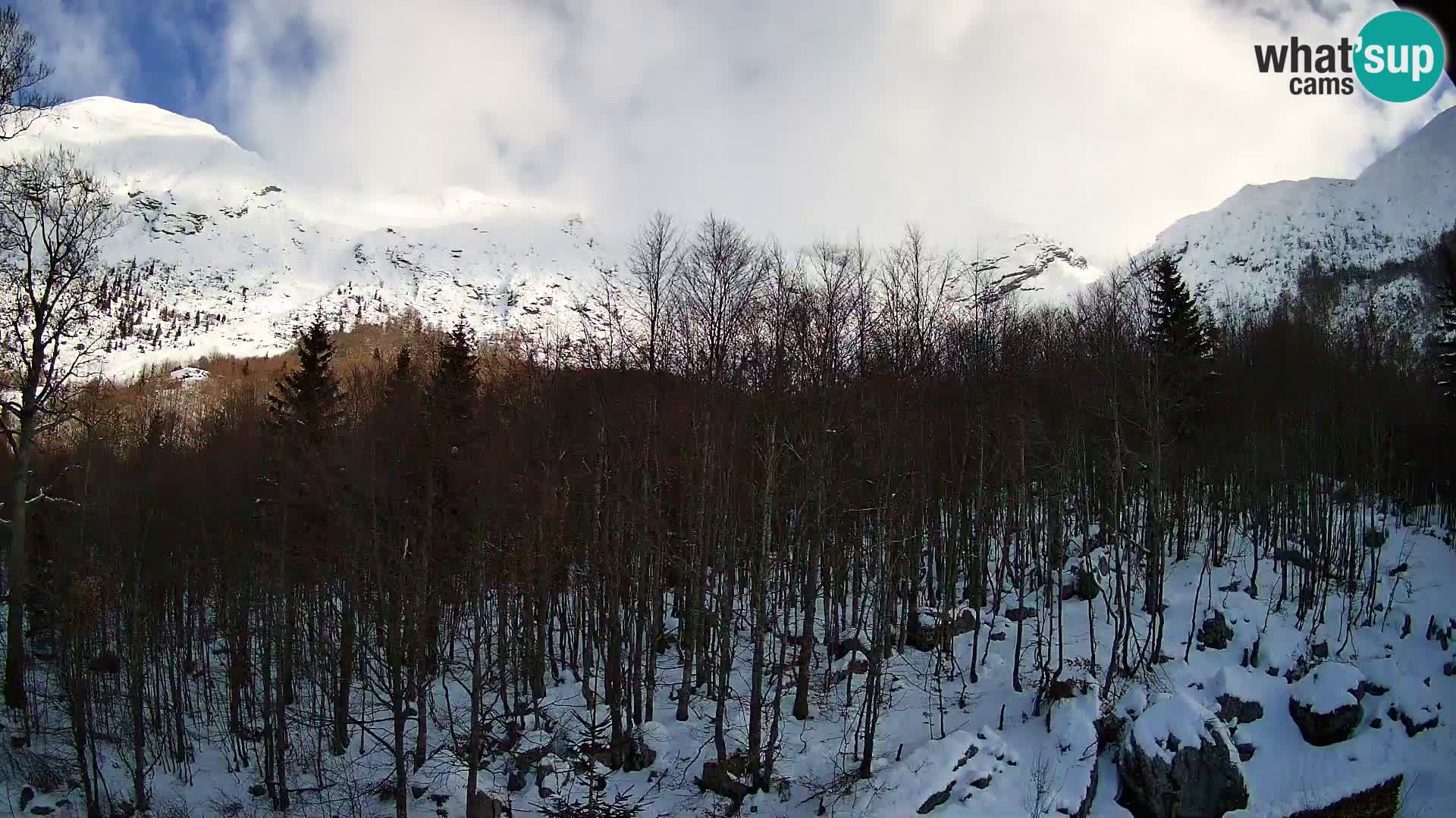 PLANINA RAZOR Live Cam (1315) | vista su Vogel e Globoko