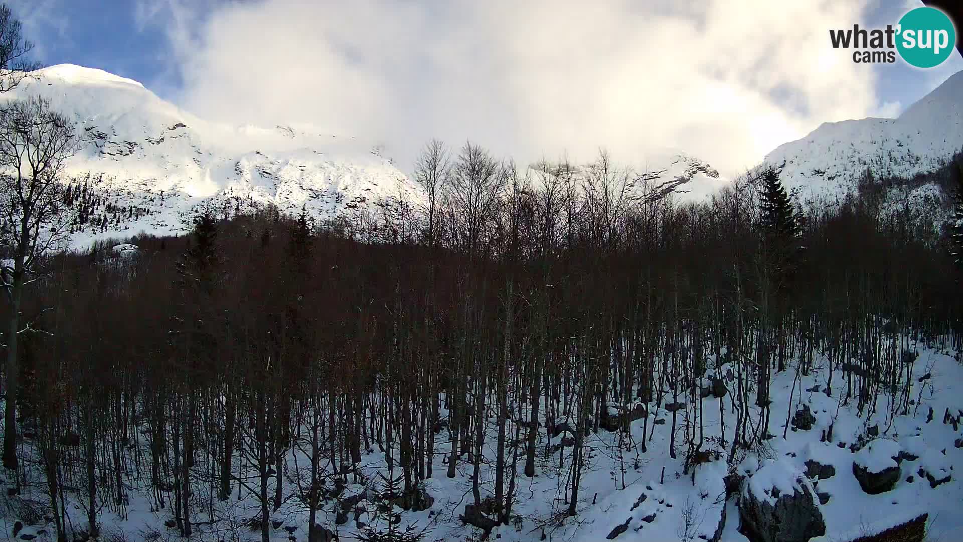 PLANINA RAZOR webcam (1315) | view to Vogel and Globoko