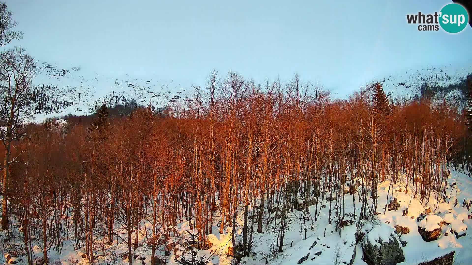 Livecam PLANINA RAZOR (1315) | vue sur Vogel et Globoko