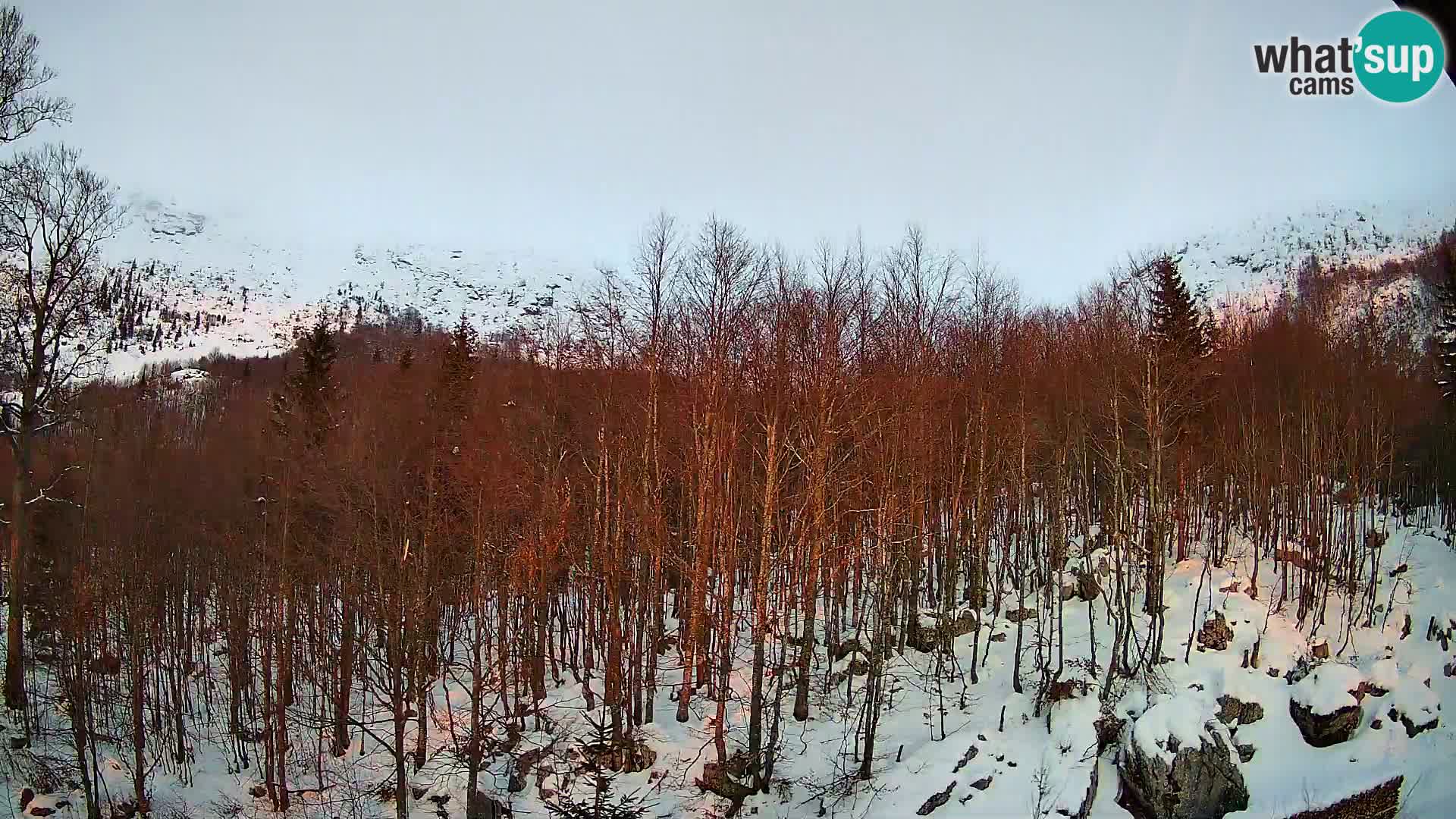 Webcam PLANINA RAZOR (1315) | Blick auf Vogel und Globoko