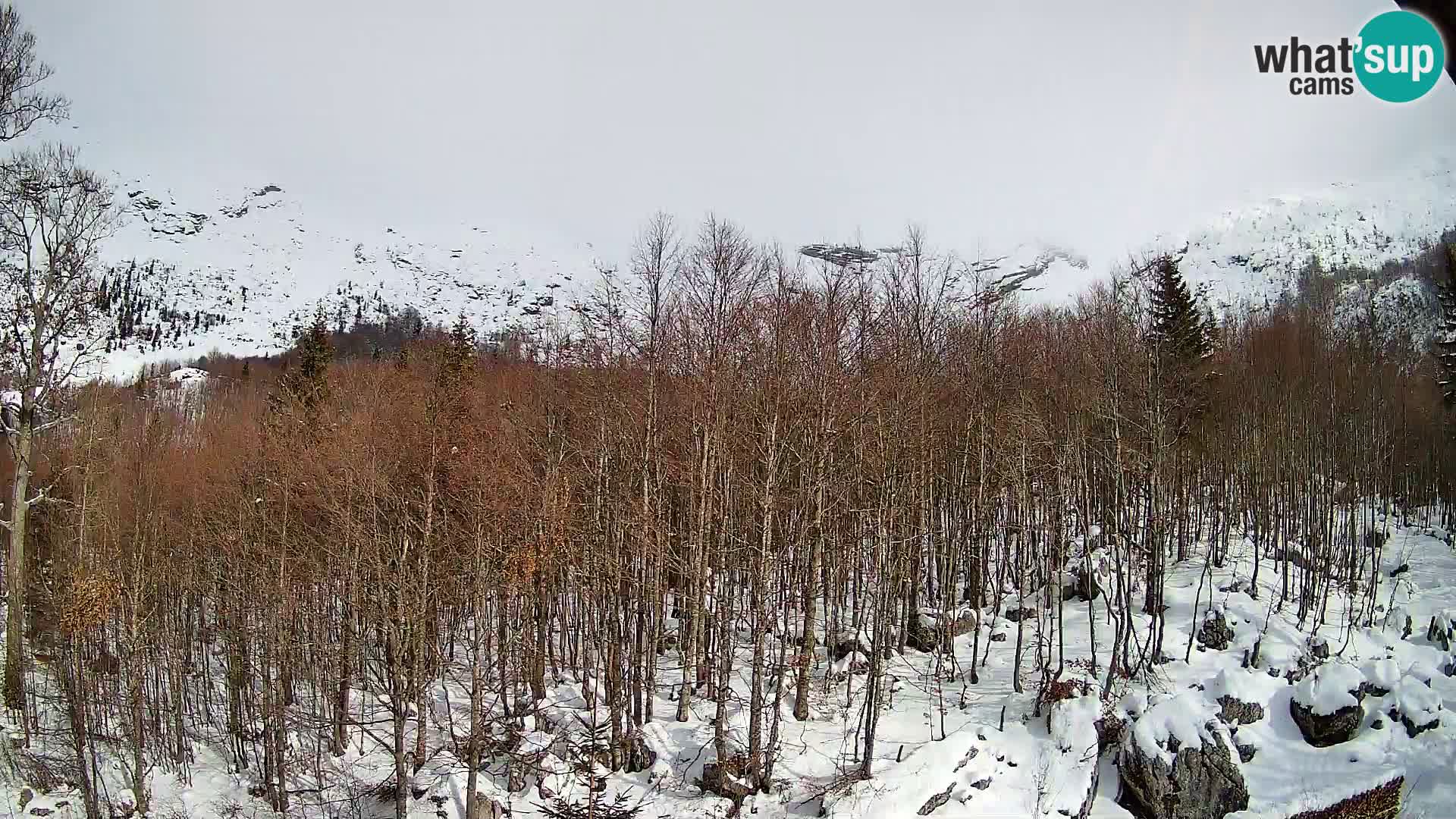 Livecam PLANINA RAZOR (1315) | vue sur Vogel et Globoko
