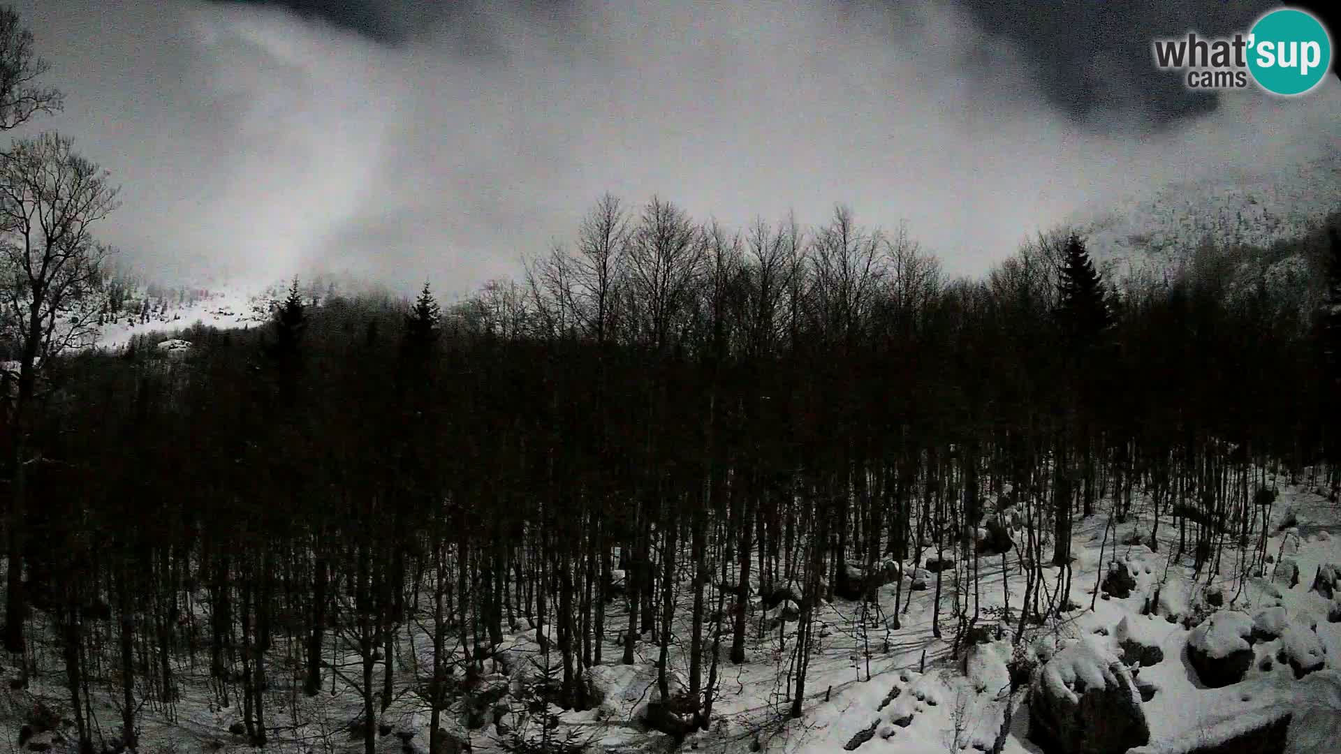 PLANINA RAZOR webcam (1315) | view to Vogel and Globoko