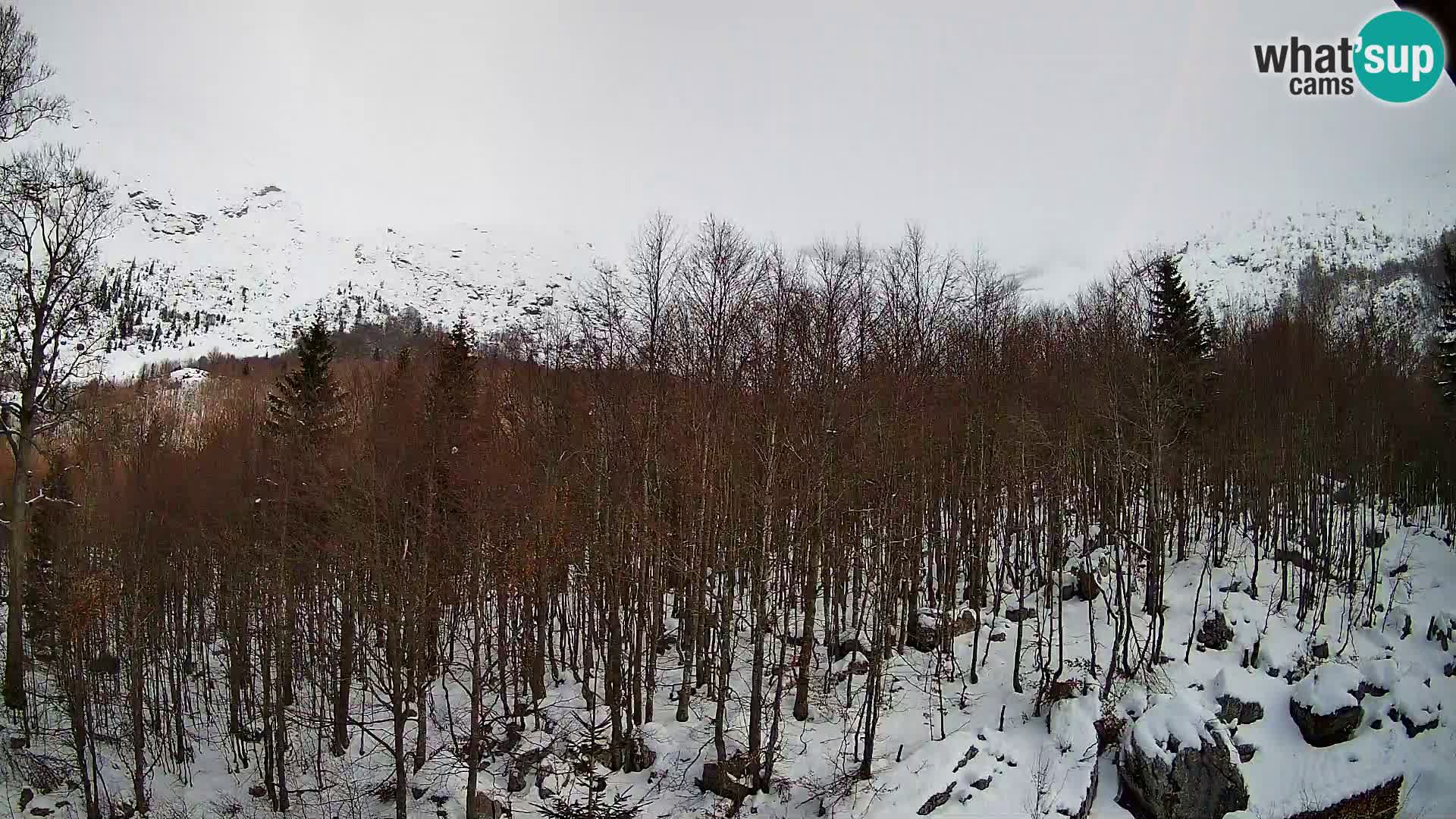 PLANINA RAZOR Live Cam (1315) | vista su Vogel e Globoko