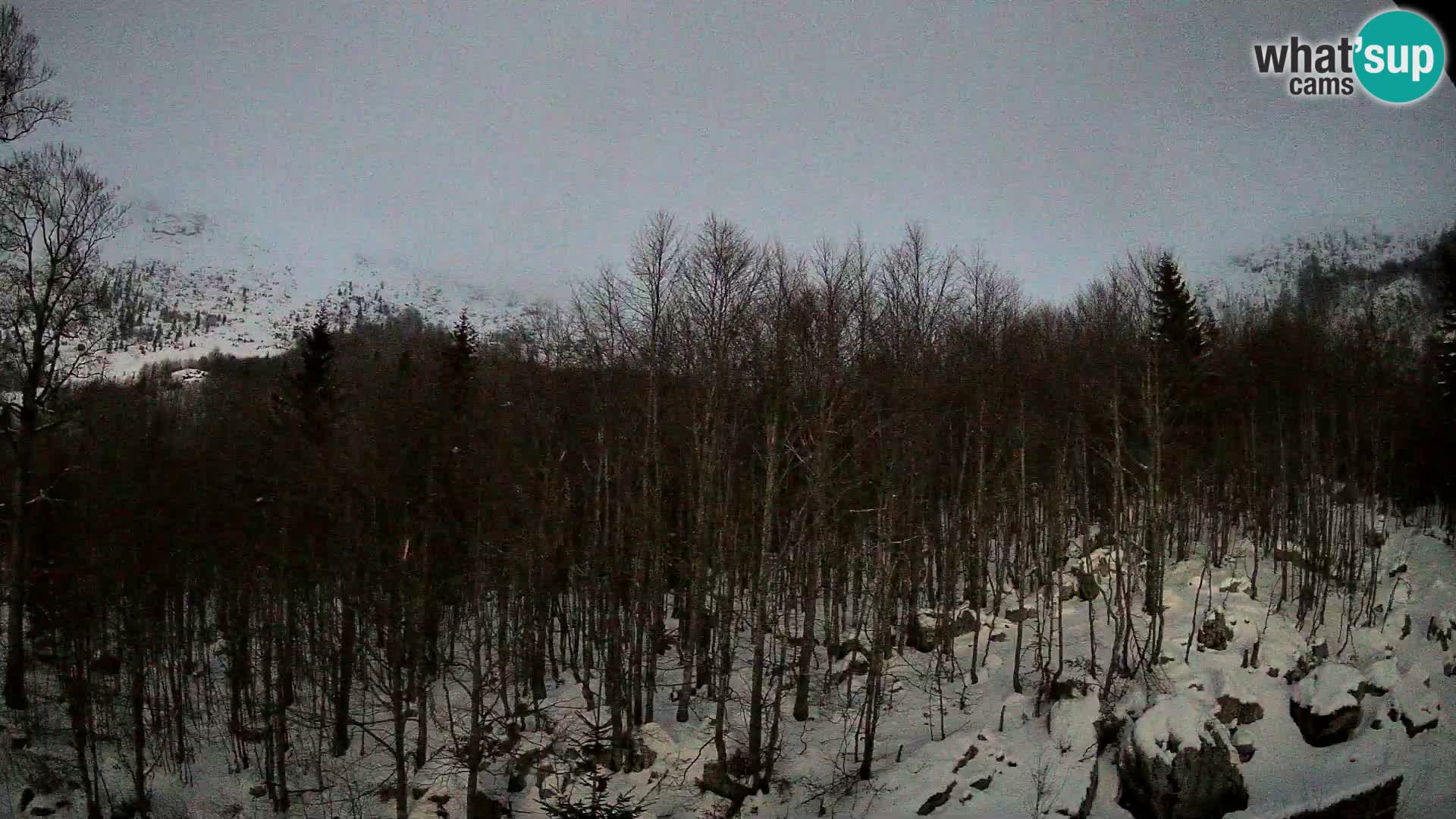 PLANINA RAZOR webcam (1315) | view to Vogel and Globoko