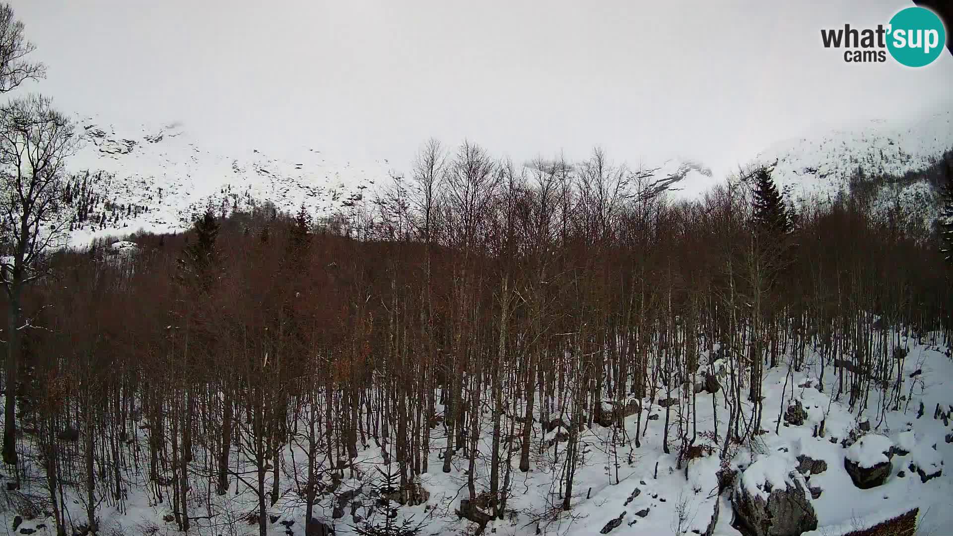 PLANINA RAZOR web kamera (1315) | pogled na Vogel i Globoko