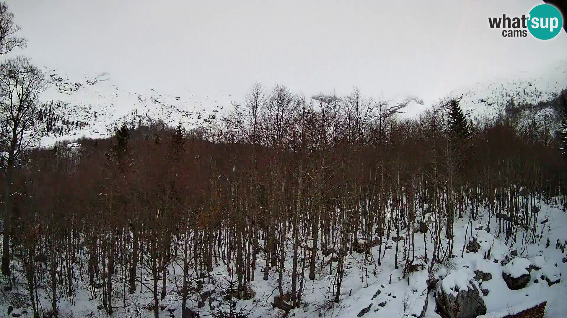 PLANINA RAZOR Live Cam (1315) | vista su Vogel e Globoko