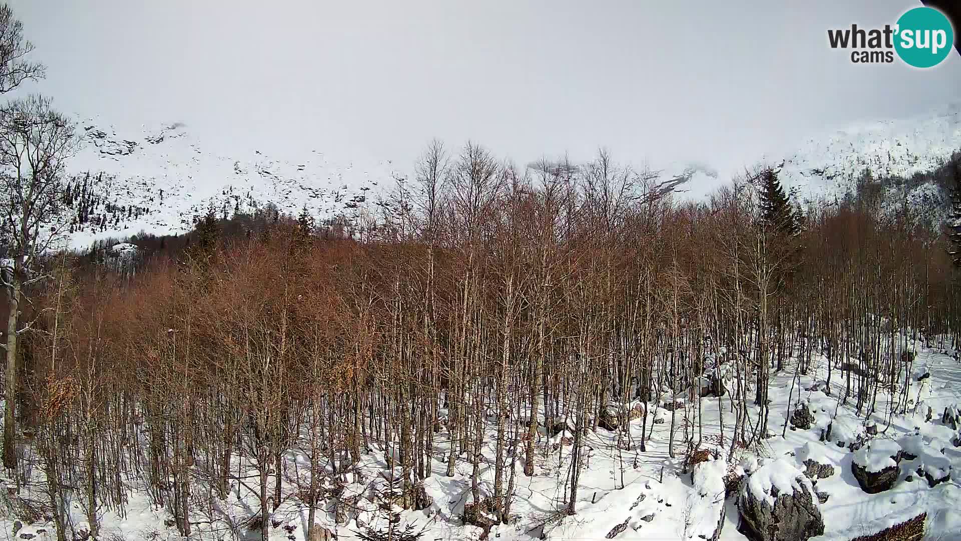 Webcam PLANINA RAZOR (1315) | Blick auf Vogel und Globoko
