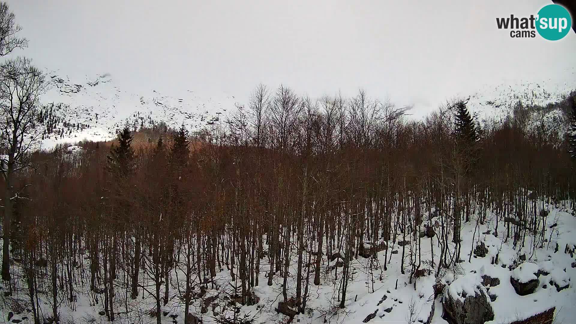 Livecam PLANINA RAZOR (1315) | vue sur Vogel et Globoko