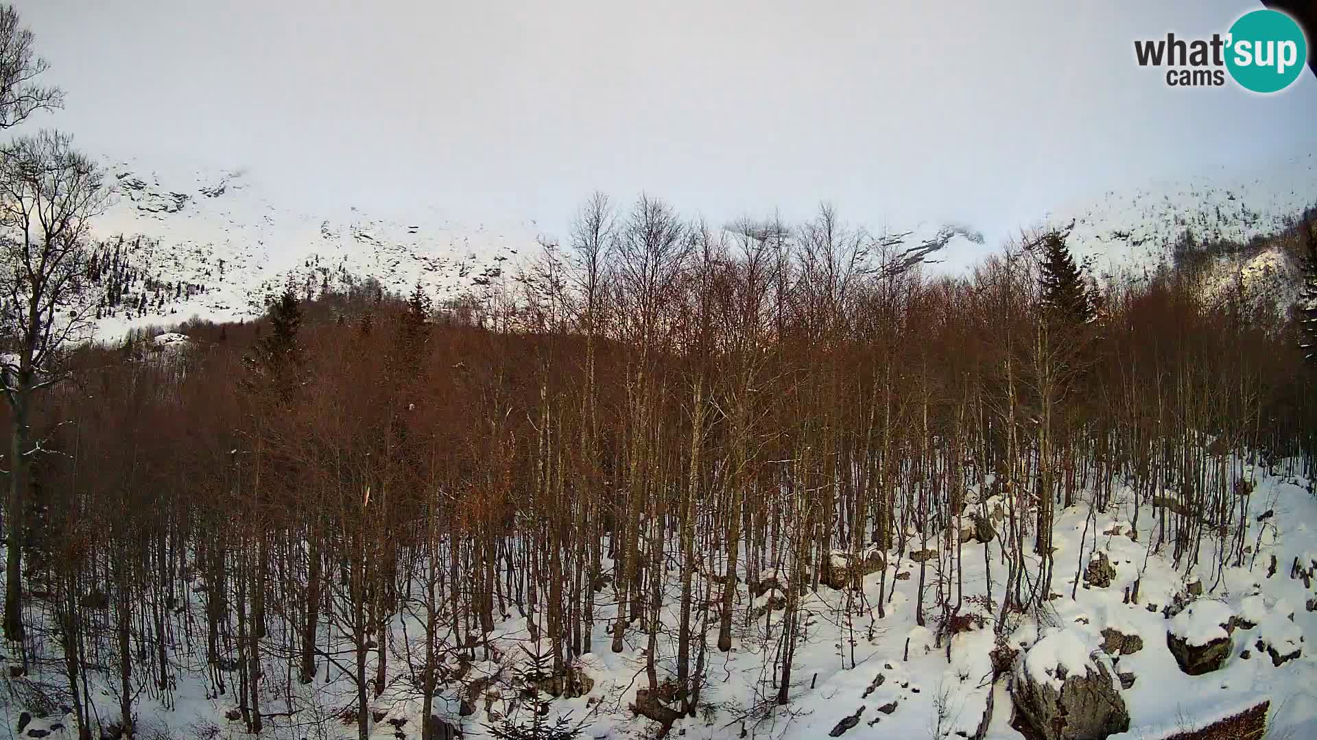 PLANINA RAZOR webcam (1315) | view to Vogel and Globoko