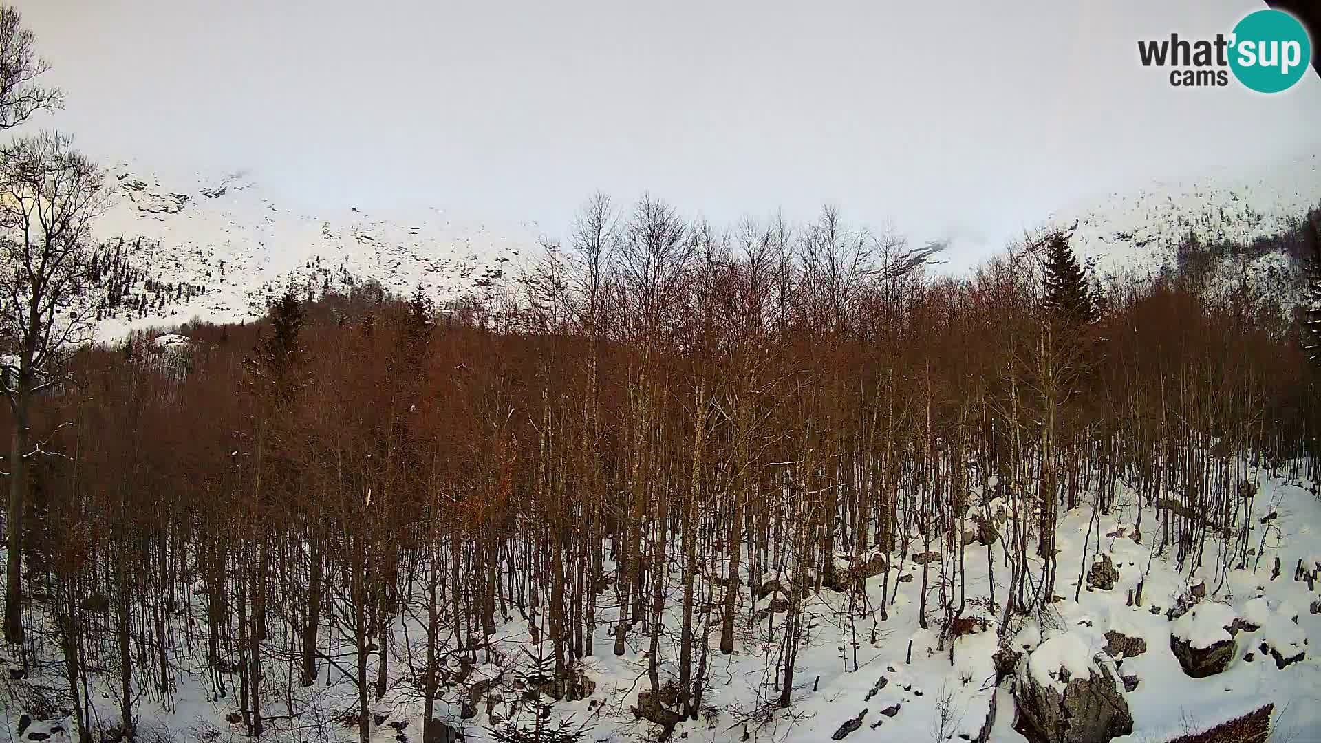 PLANINA RAZOR webcam (1315) | view to Vogel and Globoko