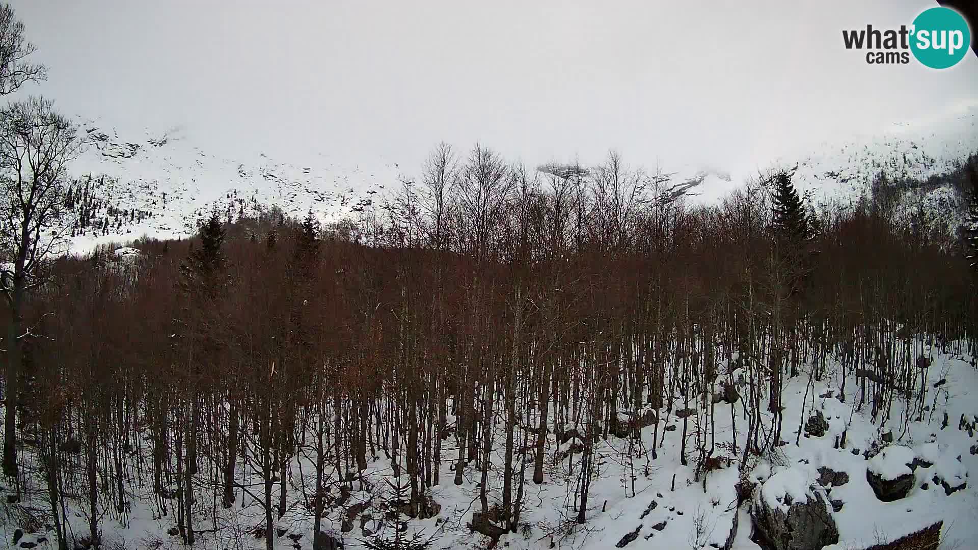 PLANINA RAZOR Live Cam (1315) | vista su Vogel e Globoko