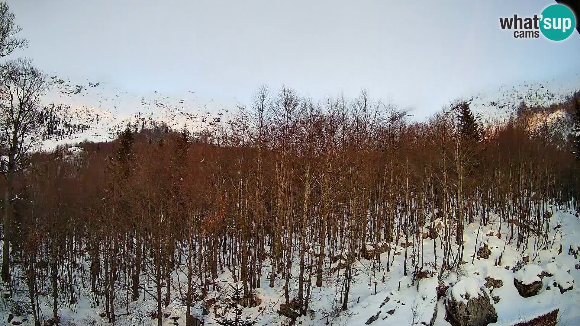 PLANINA RAZOR webcam (1315) | view to Vogel and Globoko