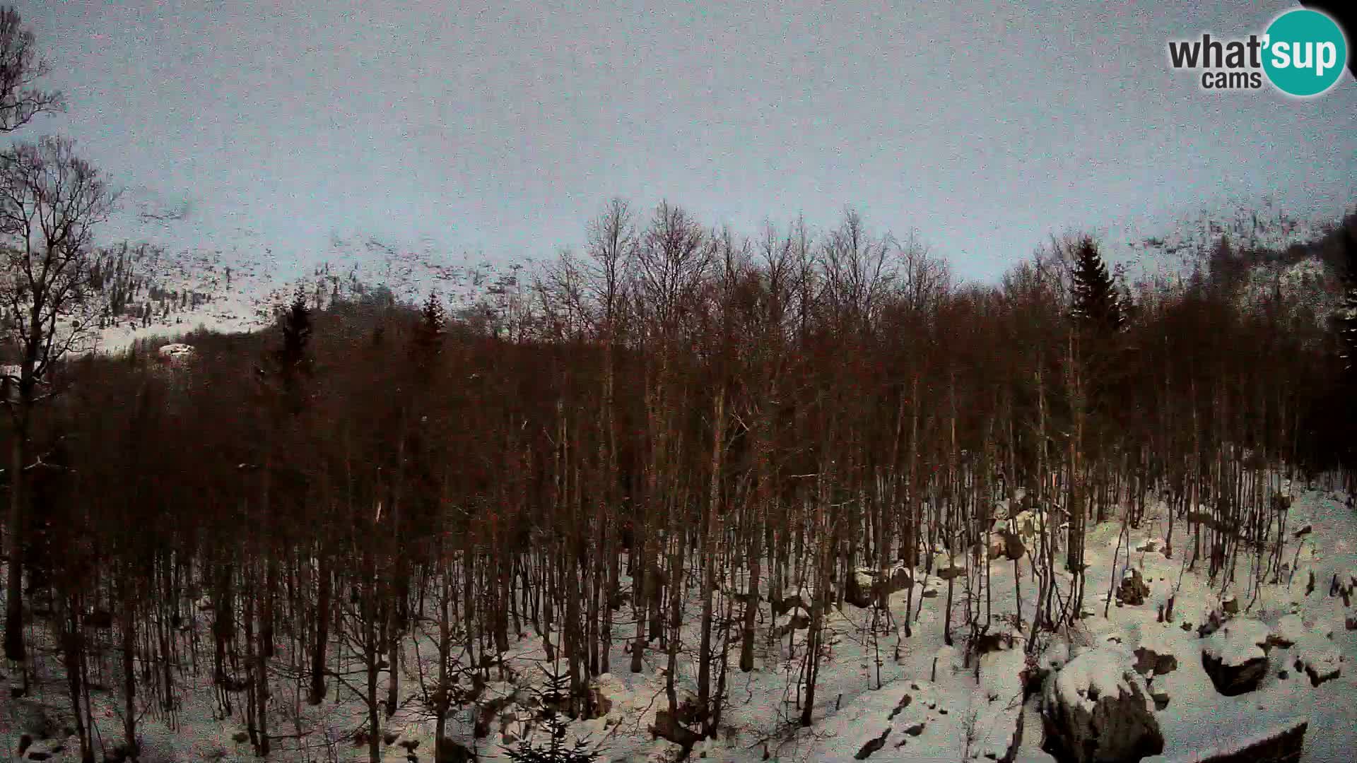 Webcam PLANINA RAZOR (1315) | Blick auf Vogel und Globoko